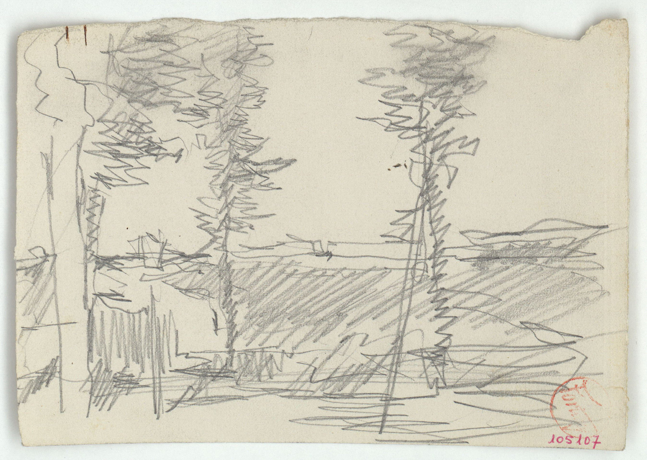 image for: Marià Fortuny - Arbres i mur - Cap a 1870-1874