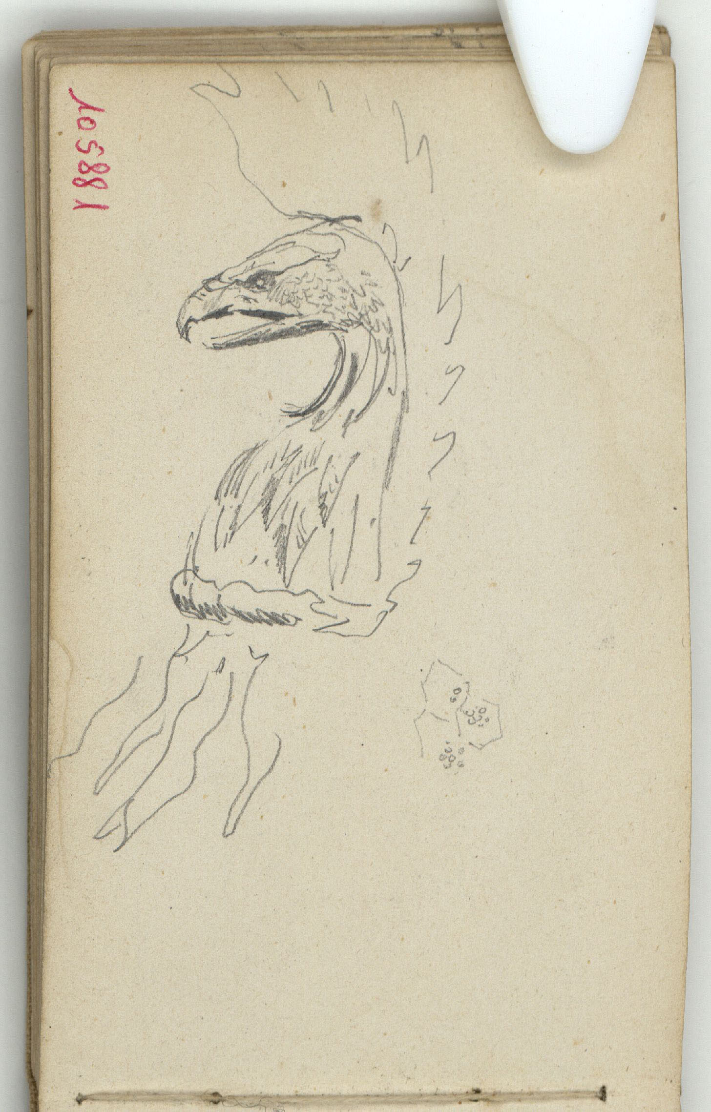 image for: Marià Fortuny - Cimera de casc - Cap a 1873