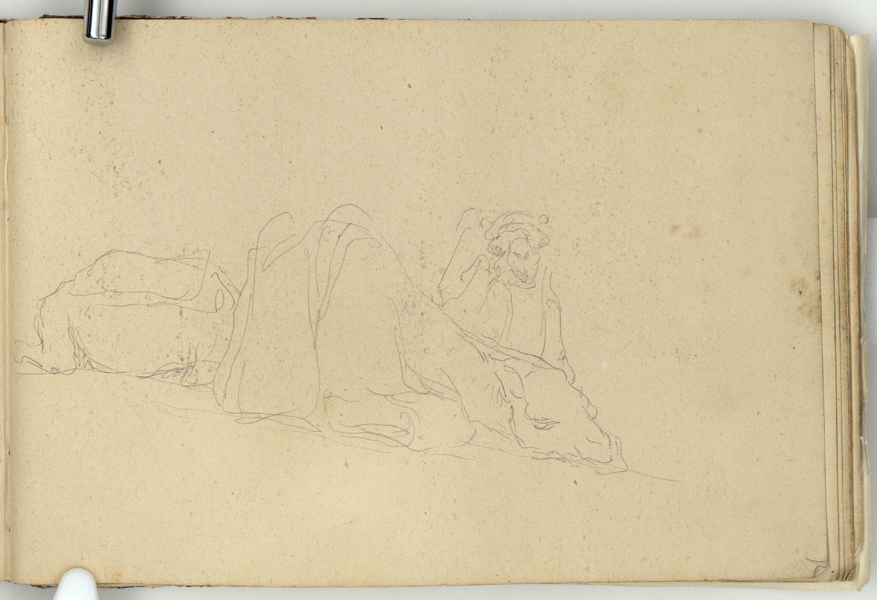 image for: Marià Fortuny - Estudi per a l'aquarel·la «El cameller» - Cap a 1862-1865