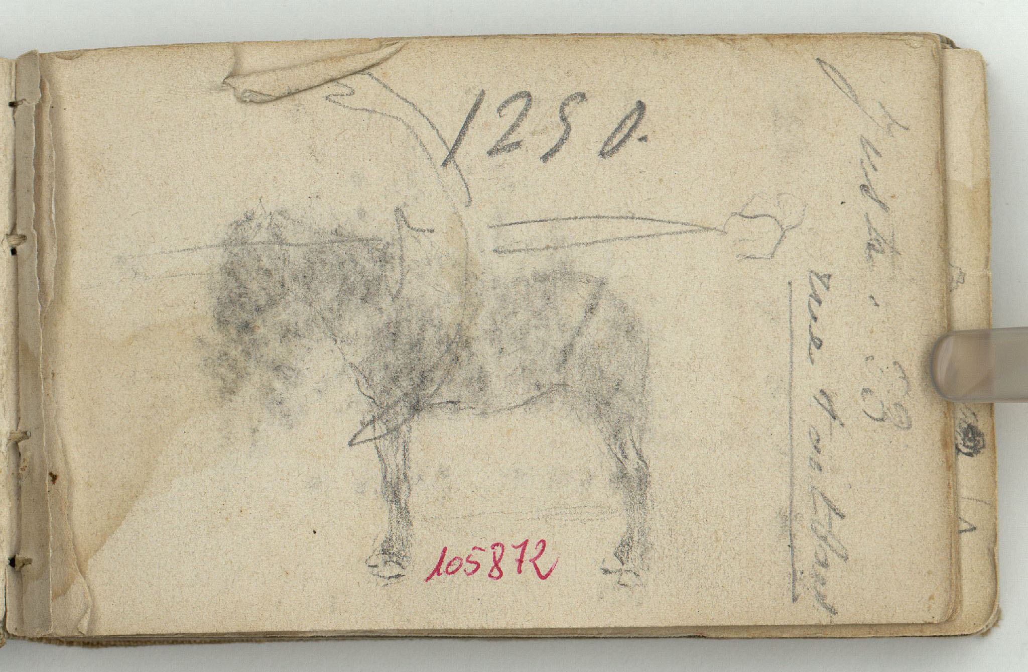 image for: Marià Fortuny - Esbós de cavall - Cap a 1870