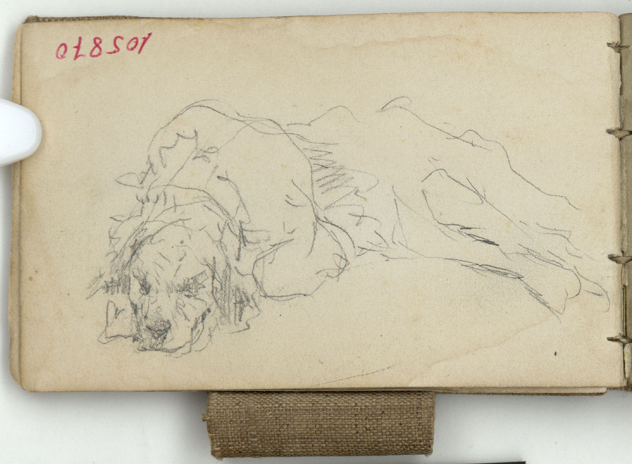 image for: Marià Fortuny - Estudi per a les aquarel·les «El venedor de tapissos» o «Amics fidels» - Cap a 1870