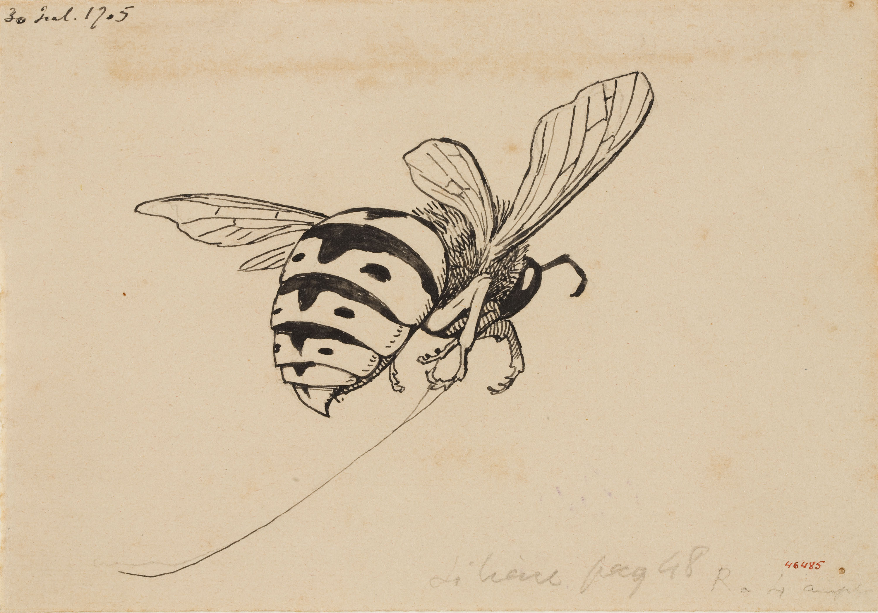 image for: Apel·les Mestres - Vespa. Culdellàntia per al poema «Liliana» d'Apel·les Mestres - 1905