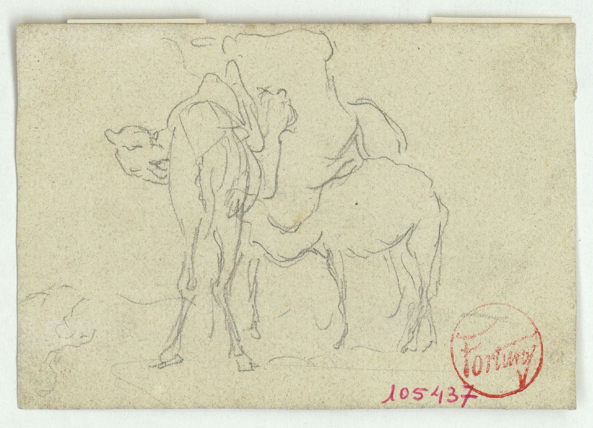 image for: Marià Fortuny - Camells - Cap a 1860-1862