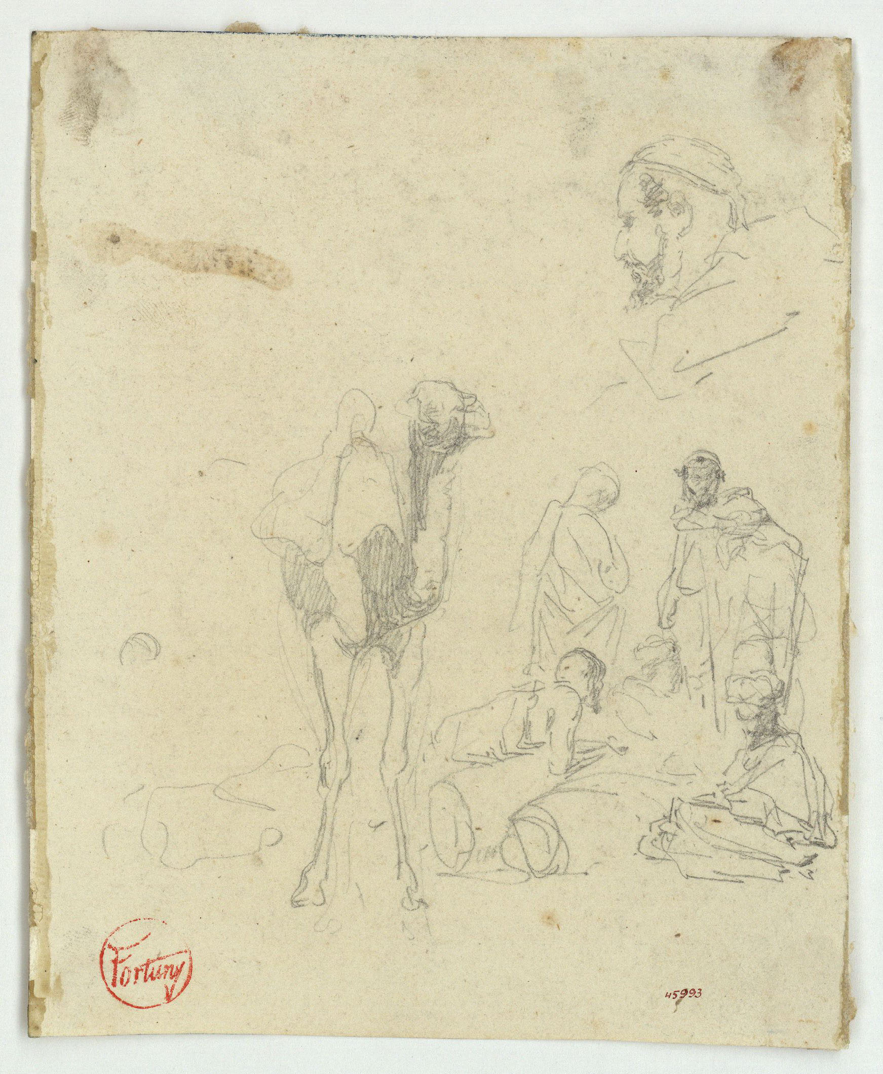 image for: Marià Fortuny - Camell i marroquins - Cap a 1860-1862