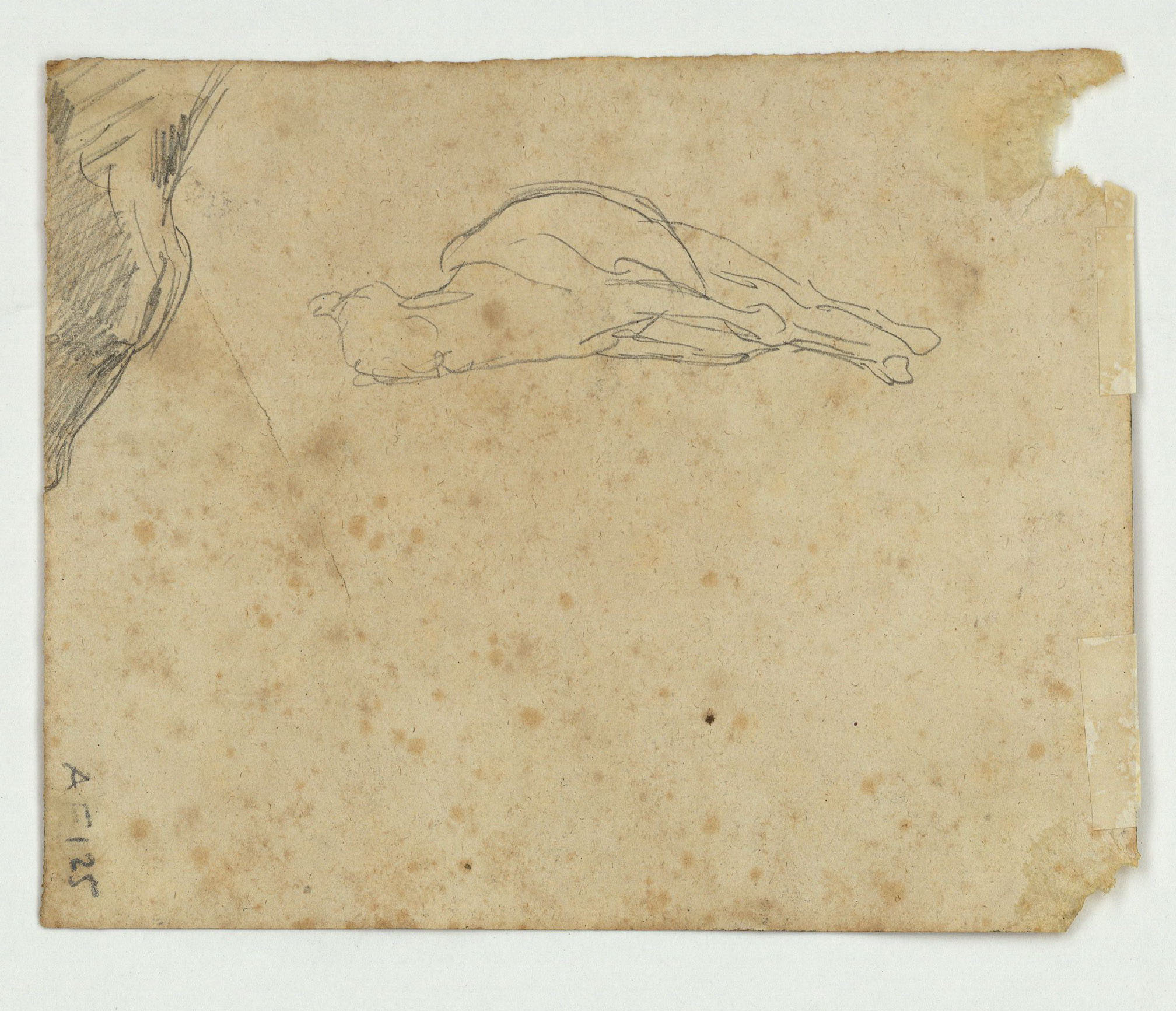 image for: Marià Fortuny - Estudi per al quadre «Kif» (anvers) / Croquis de cavall ajagut (revers) - Cap a 1868 [1]