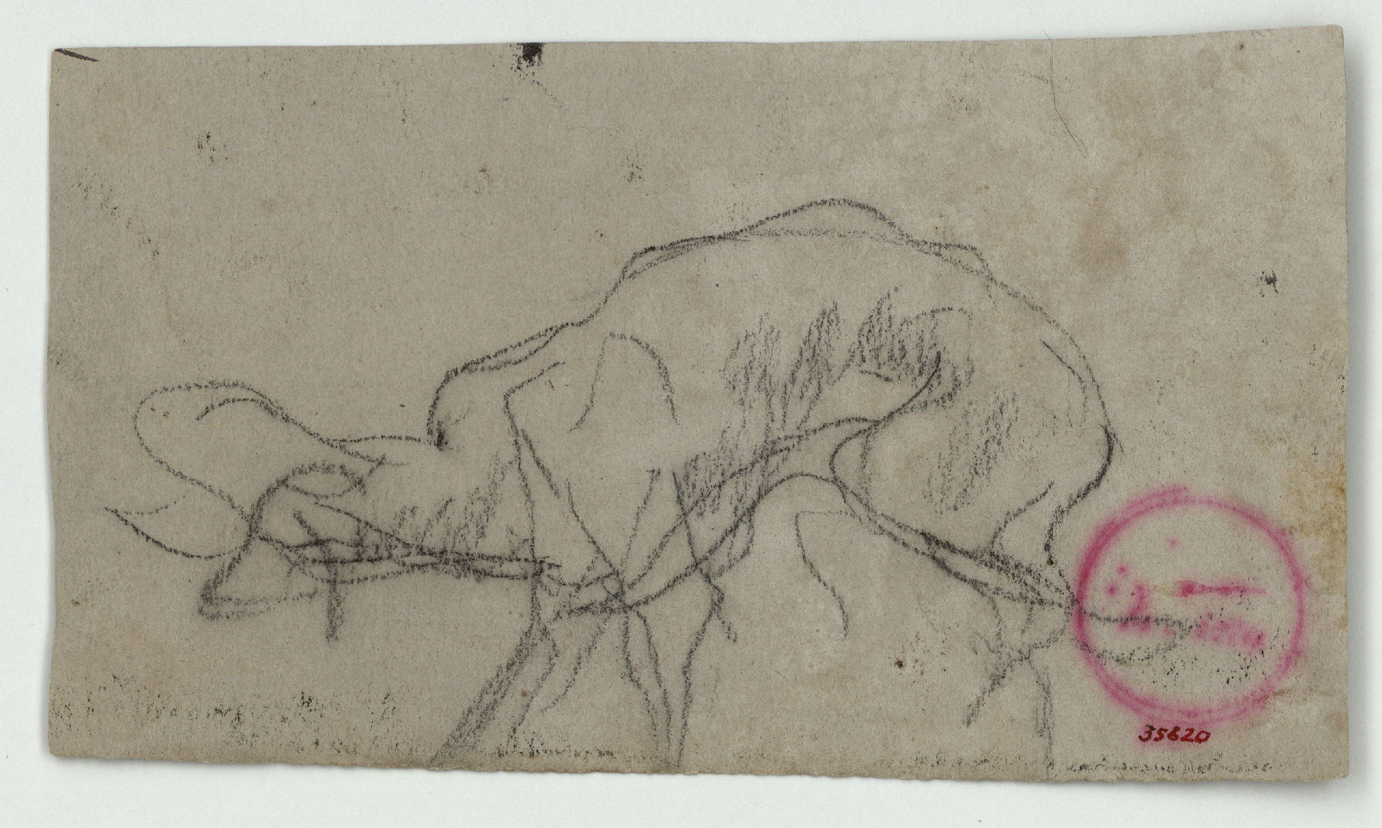 image for: Marià Fortuny - Esbós d'ovella - Cap a 1866-1872