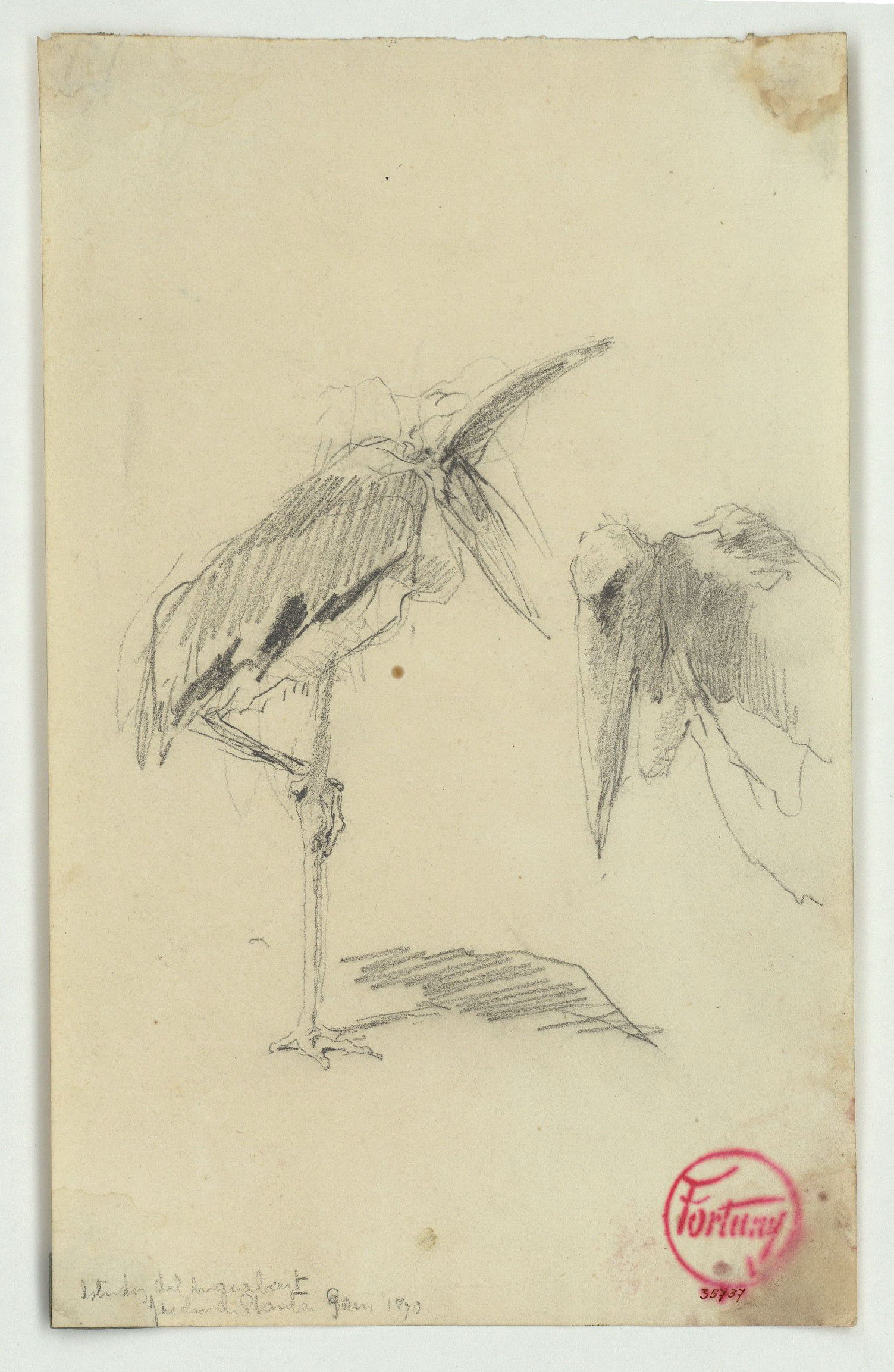 image for: Marià Fortuny - Marabús - Cap a 1870