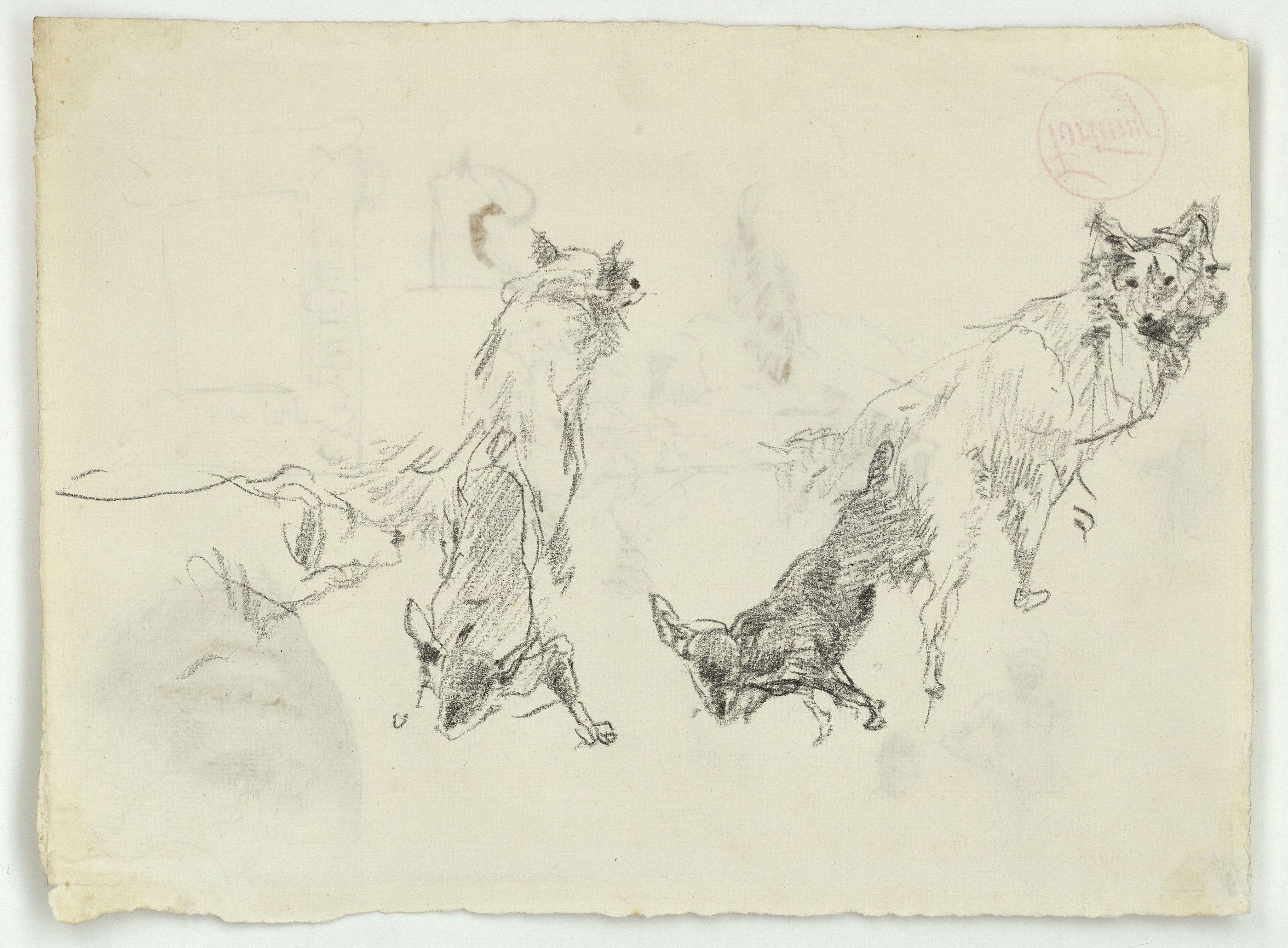 image for: Marià Fortuny - Estudi per al quadre «Els fills del pintor en un saló japonès» (anvers) / Gossos (revers) - Cap a 1874 [1]