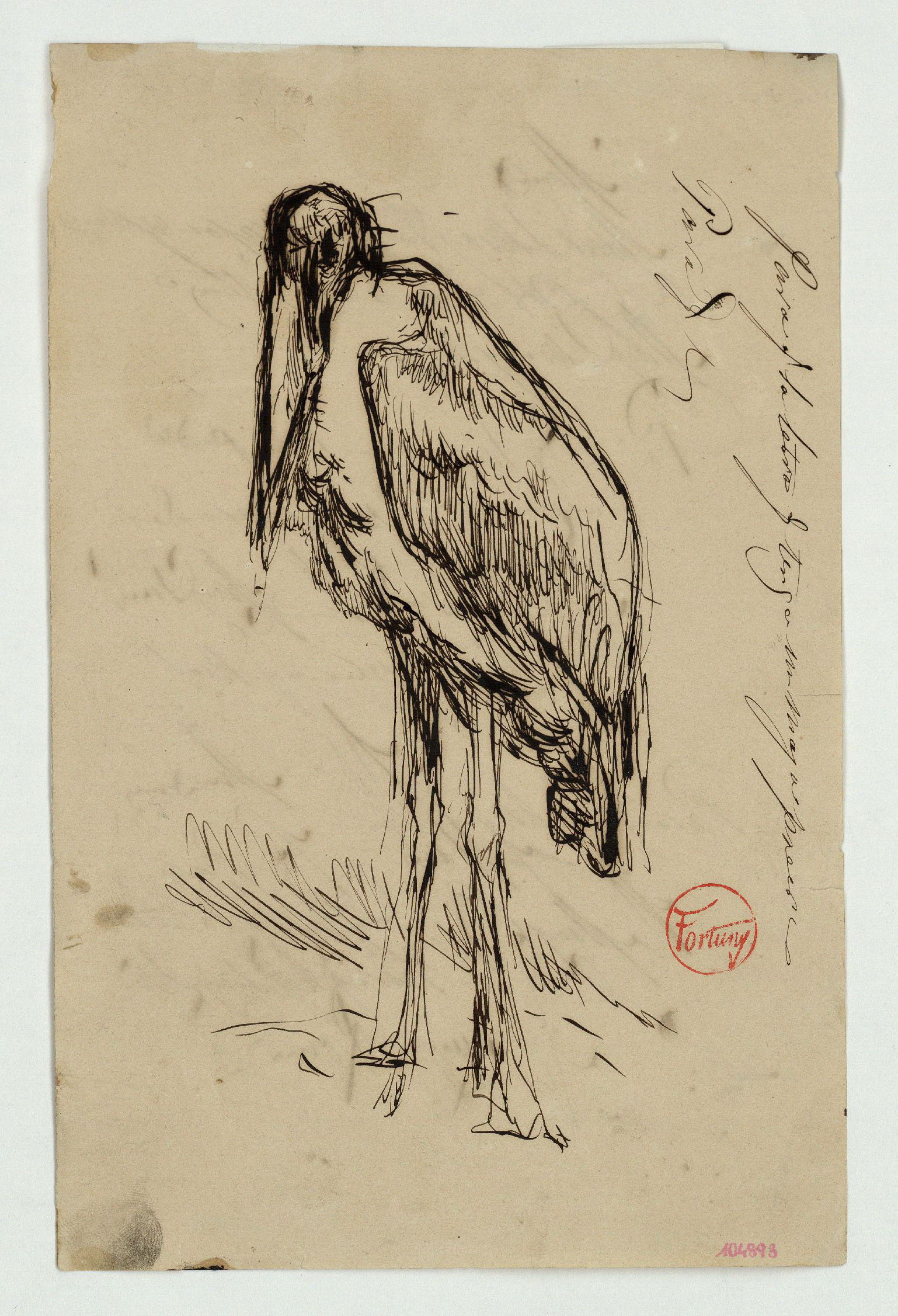 image for: Marià Fortuny - Marabú - Cap a 1863-1866
