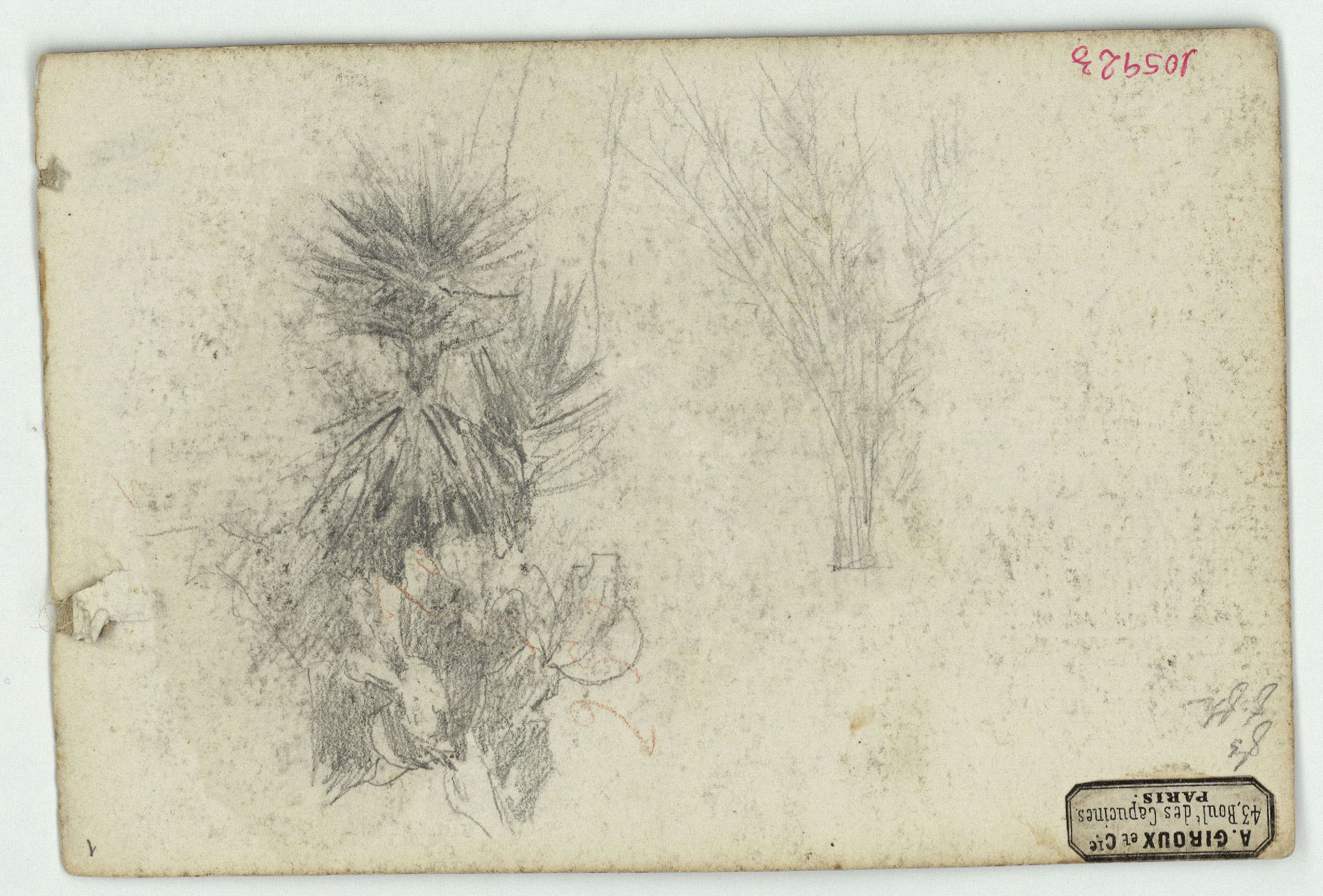 image for: Marià Fortuny - Matolls - Cap a 1863-1869