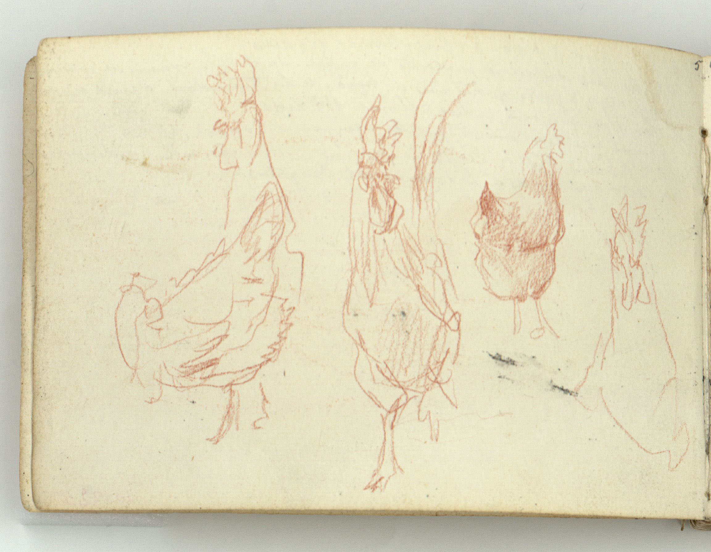 image for: Marià Fortuny - Cap masculí (anvers) / Gallines (revers) - Cap a 1863-1869 [1]