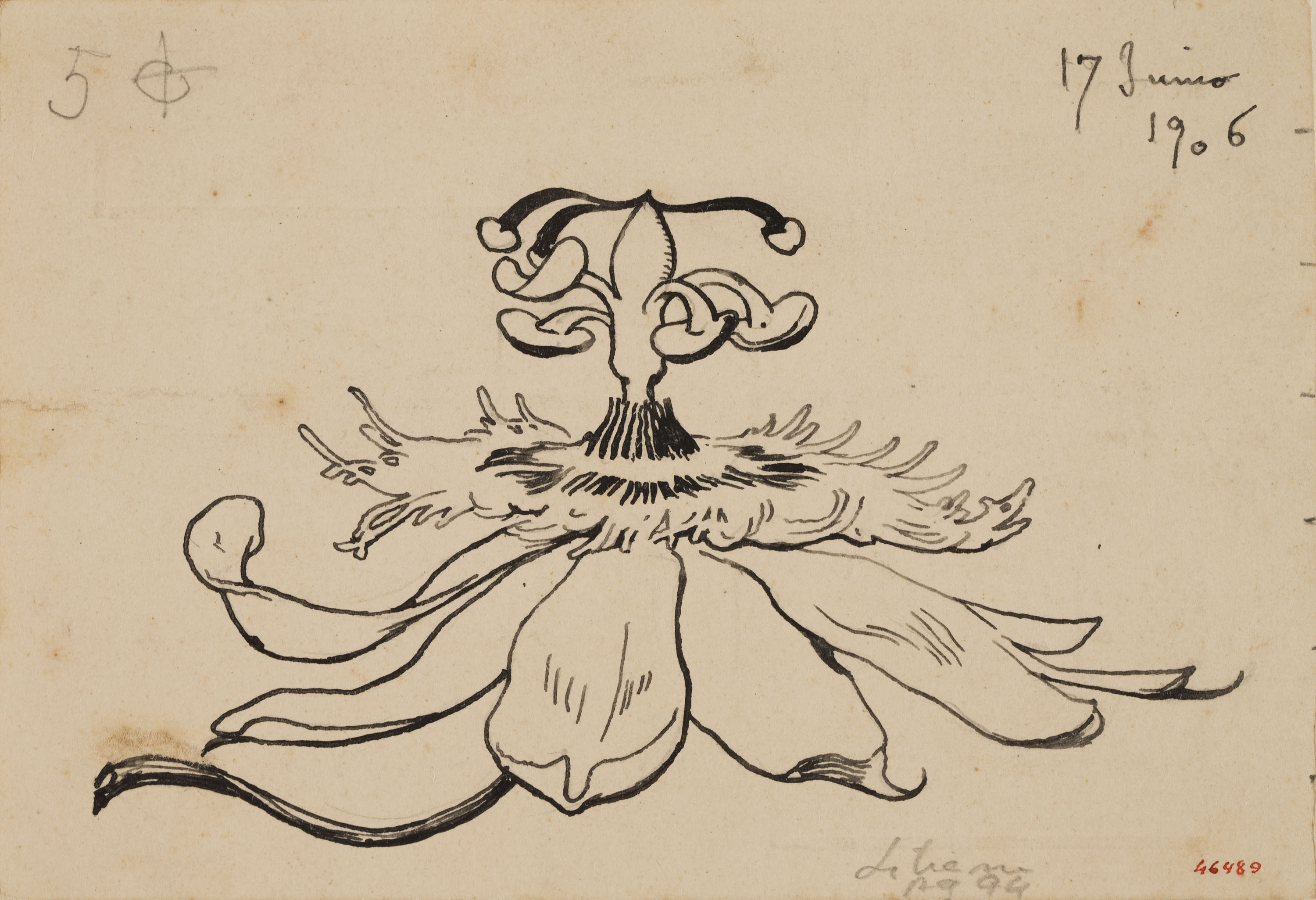 image for: Apel·les Mestres - Passionera. Culdellàntia per al poema «Liliana» d'Apel·les Mestres - 1906