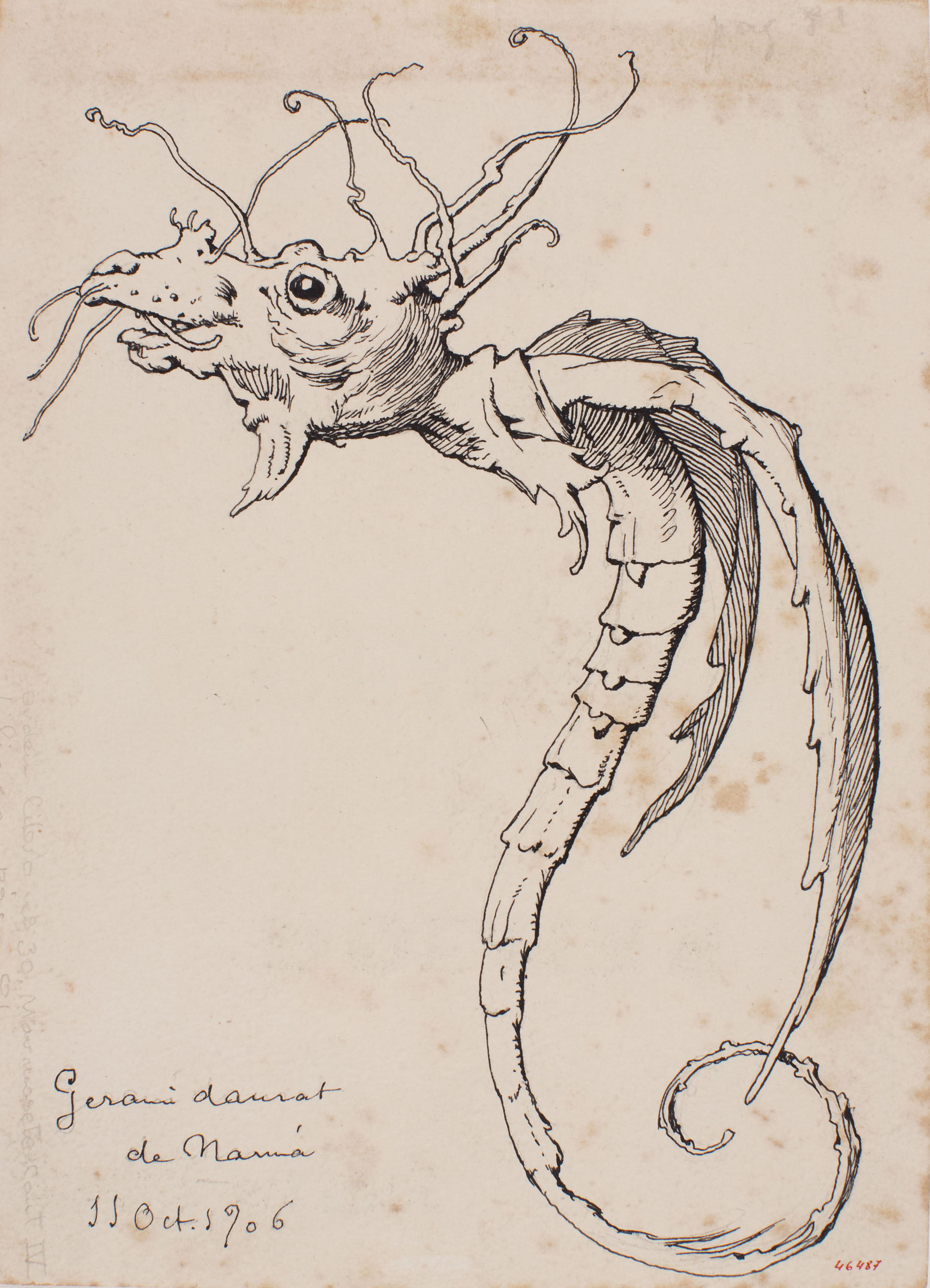 Apel·les Mestres - Planta de gerani transmutada en animal quimèric. Culdellàntia per al poema «Liliana» d'Apel·les Mestres - 1906 image for: Apel·les Mestres - Planta de gerani transmutada en animal quimèric. Culdellàntia per al poema «Liliana» d'Apel·les Mestres - 1906