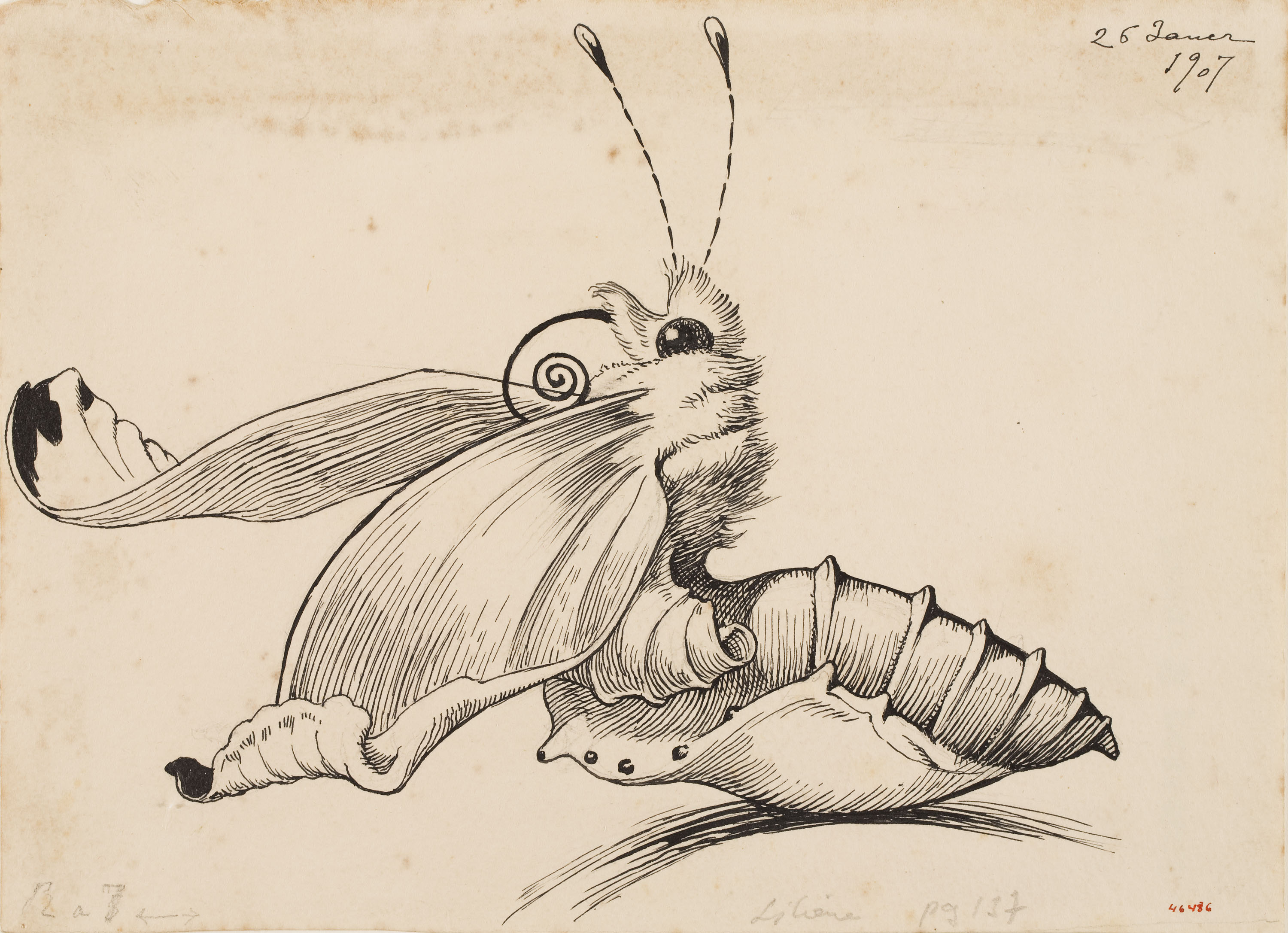 image for: Apel·les Mestres - Cuc de seda convertint-se en papallona. Culdellàntia per al poema «Liliana» d'Apel·les Mestres - 1907