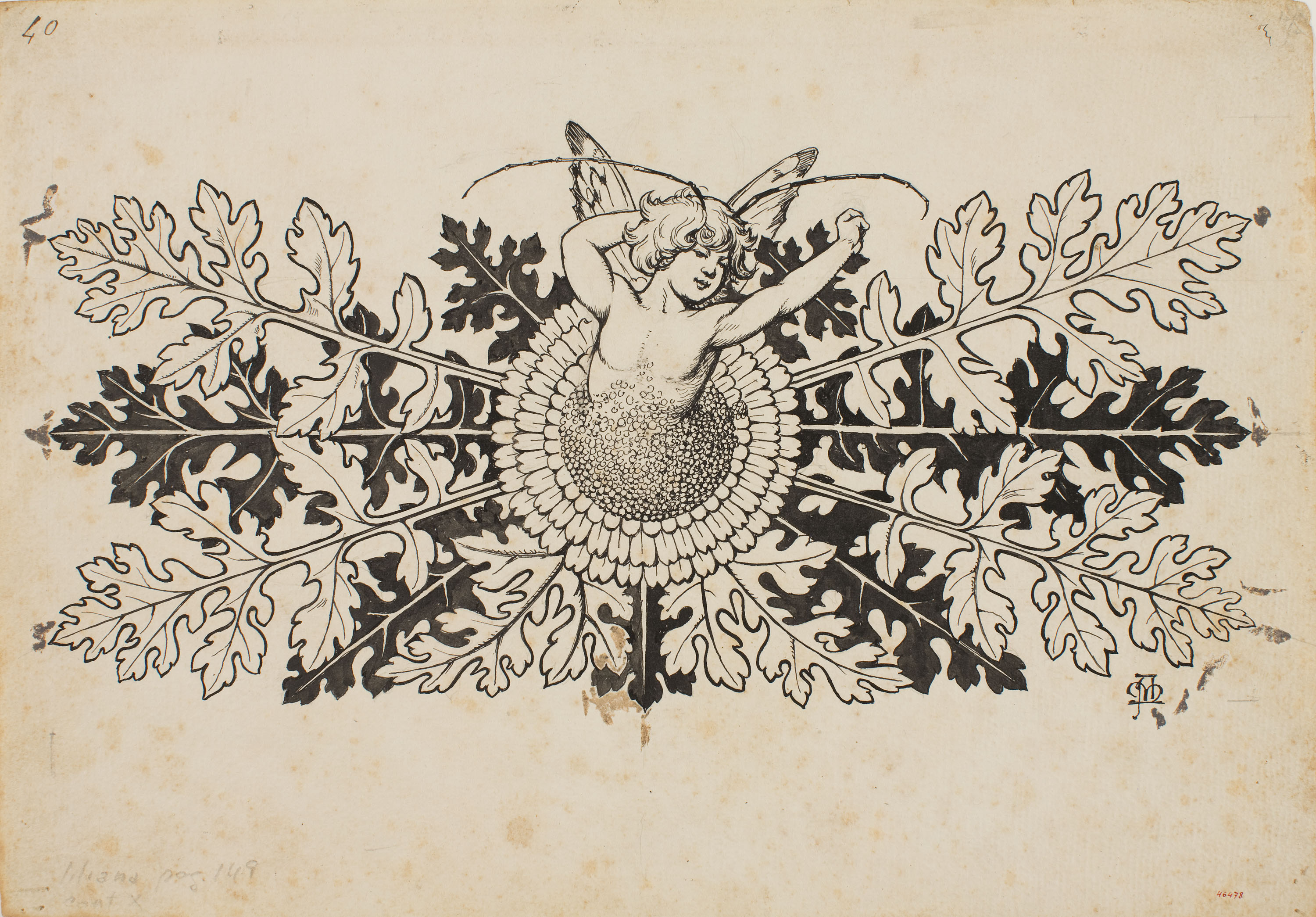 Apel·les Mestres - Silf sortint d'una flor. Capçalera de pàgina per al poema «Liliana» d'Apel·les Mestres - Cap a 1907 image for: Apel·les Mestres - Silf sortint d'una flor. Capçalera de pàgina per al poema «Liliana» d'Apel·les Mestres - Cap a 1907