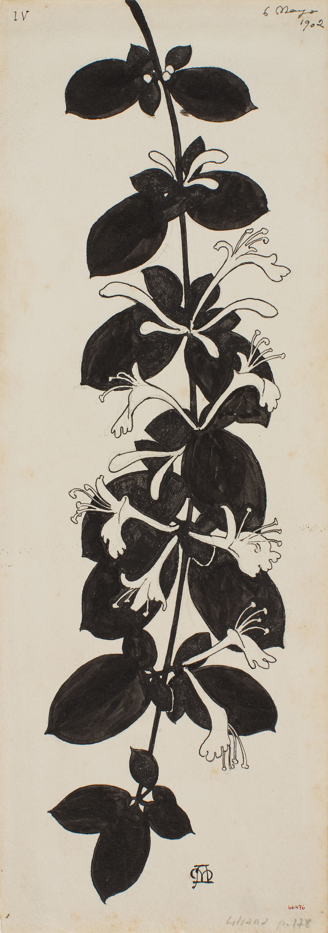 image for: Apel·les Mestres - Branca de xuclamel. Il·lustració per al poema «Liliana» d'Apel·les Mestres - 1902