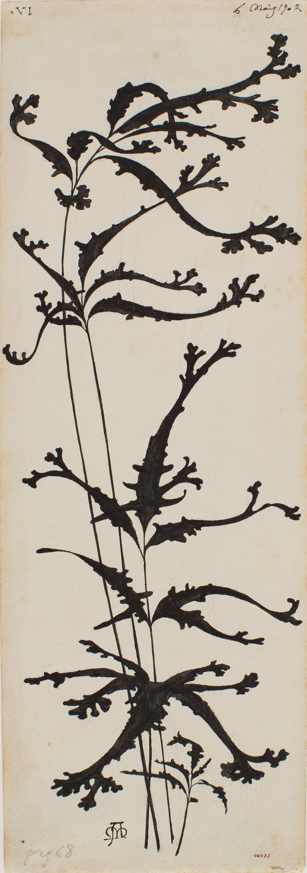 image for: Apel·les Mestres - Estilització d'una branca. Il·lustració per al poema «Liliana» d'Apel·les Mestres - 1902