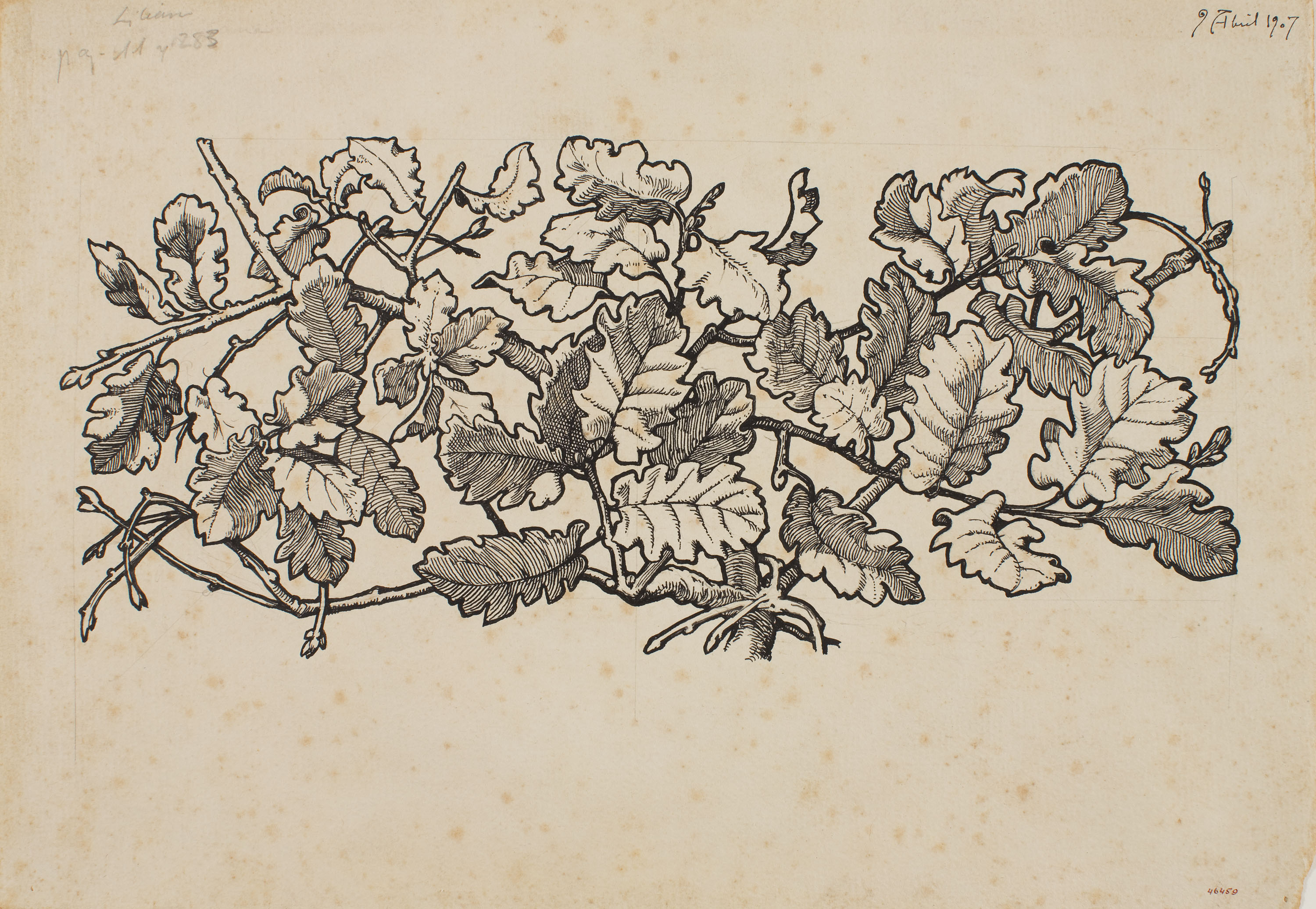 image for: Apel·les Mestres - Branques de roure. Il·lustració per al poema «Liliana» d'Apel·les Mestres - 1907