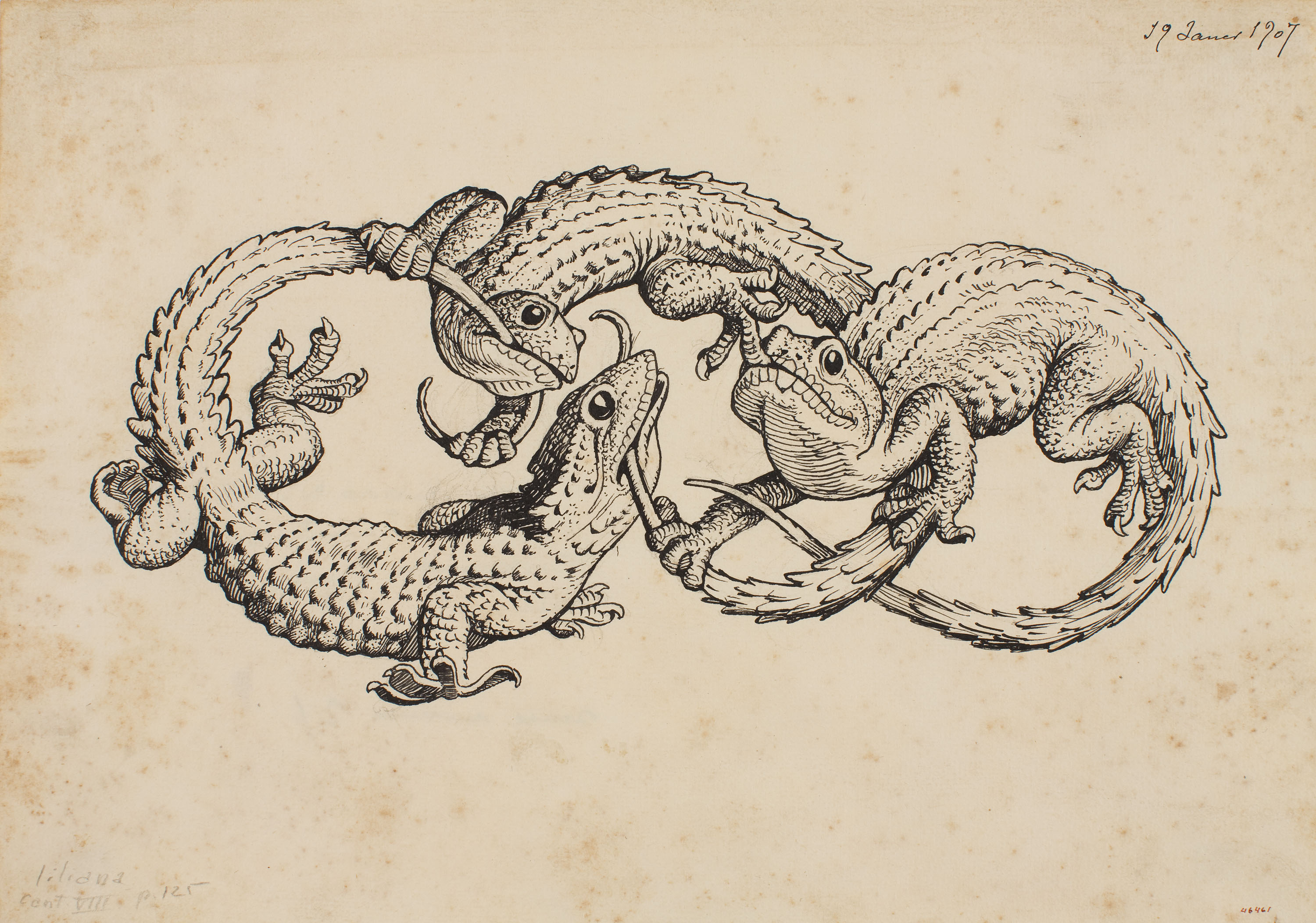 image for: Apel·les Mestres - Sargantanes. Il·lustració per al poema «Liliana» d'Apel·les Mestres - 1907