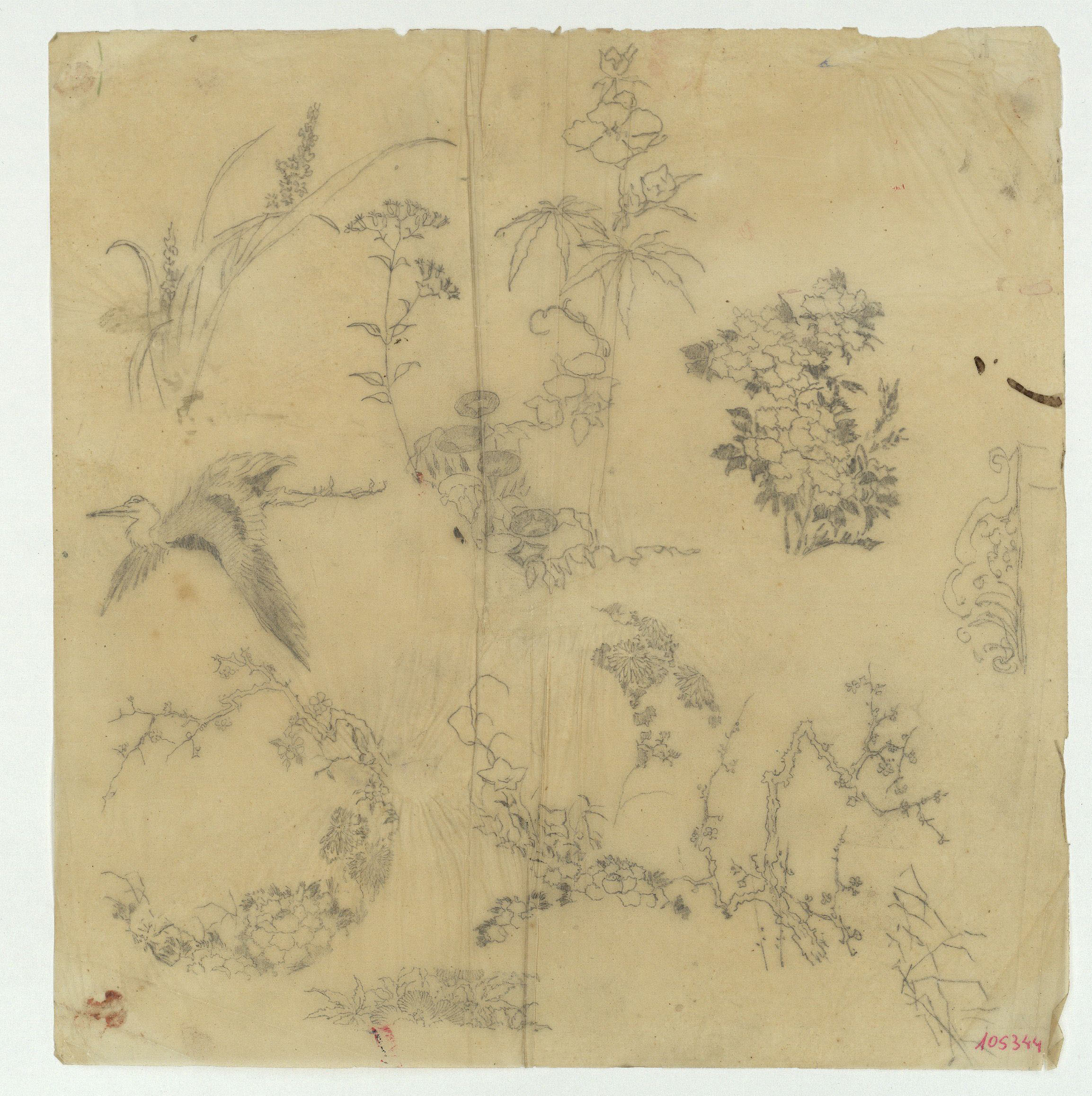 image for: Marià Fortuny - Calc de plantes i ocell - Cap a 1867-1874