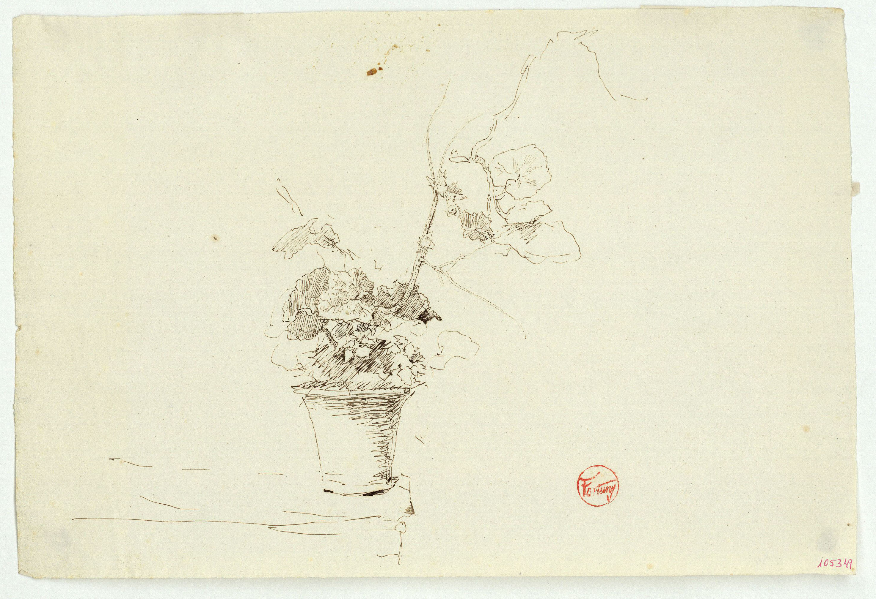 image for: Marià Fortuny - Test de geranis - Cap a 1867-1872