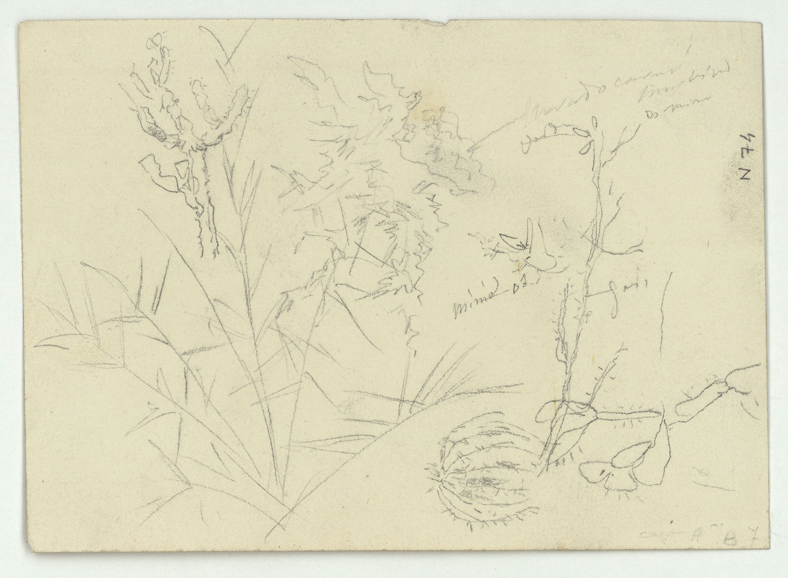 image for: Marià Fortuny - Estudi per al quadre «El jardí dels poetes» (anvers) / Estudi per al quadre «El jardí dels poetes» (revers) - Cap a 1870-1874 [1]