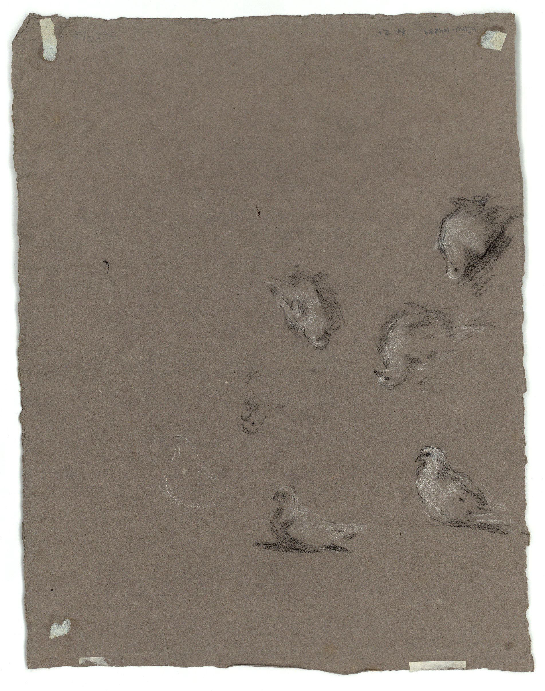 image for: Marià Fortuny - Cornucòpia (anvers) / Coloms (revers) - Cap a 1867-1870 [1]