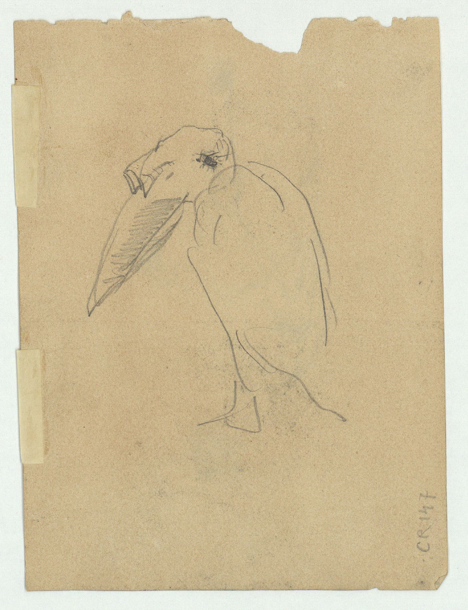 image for: Marià Fortuny - Gos ajagut (anvers) / Esbós d'ocell (revers) - Cap a 1868-1870 [1]