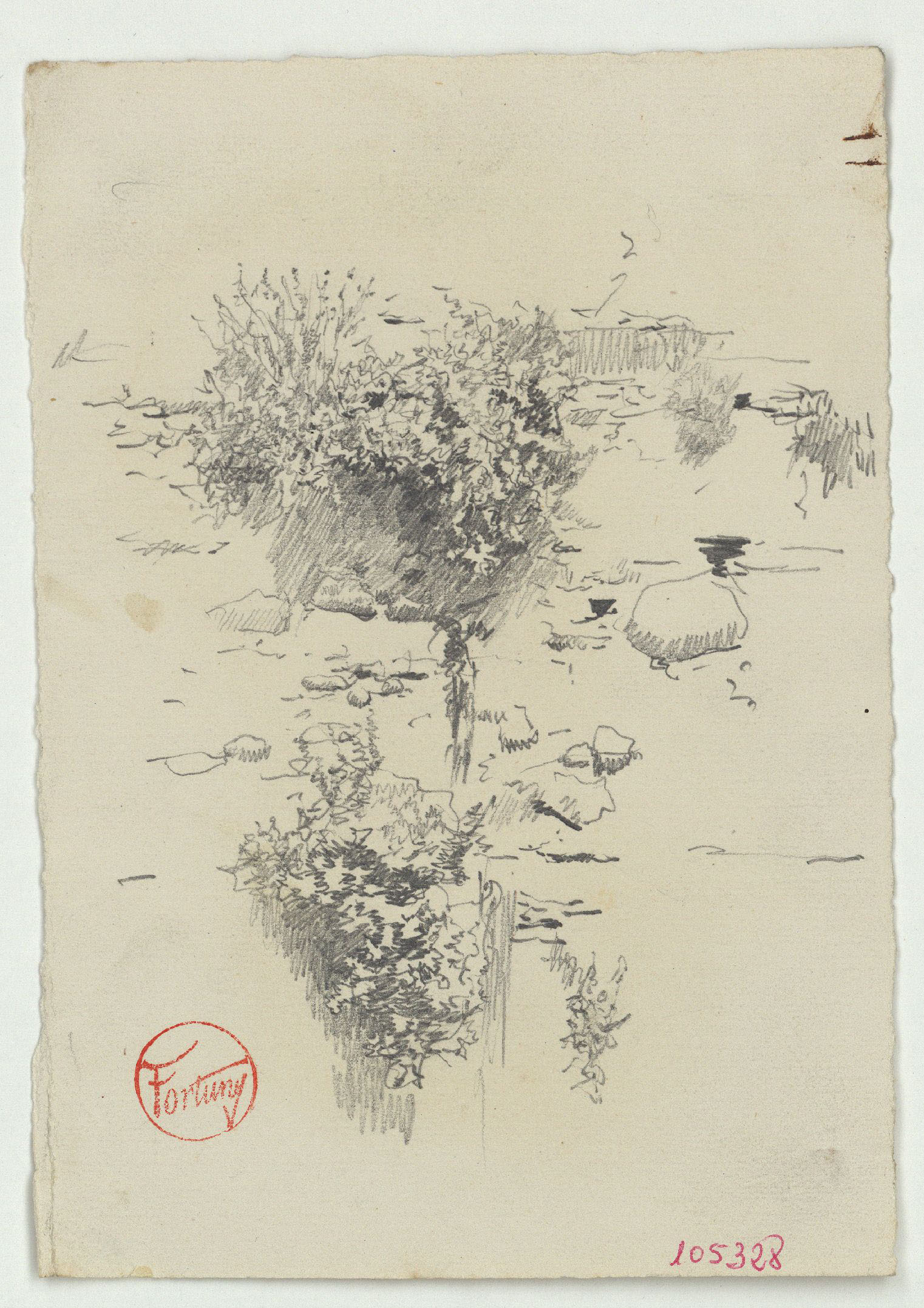 image for: Marià Fortuny - Tàpia i matolls - Cap a 1867-1872