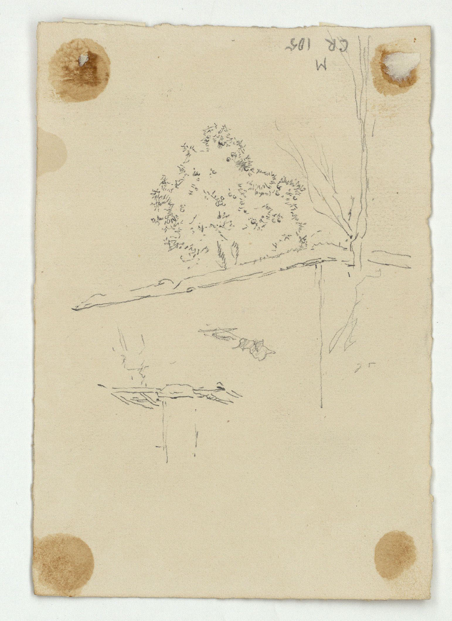 image for: Marià Fortuny - Esbós de figures (anvers) / Tàpia i arbust (revers) - Cap a 1867-1872 [1]