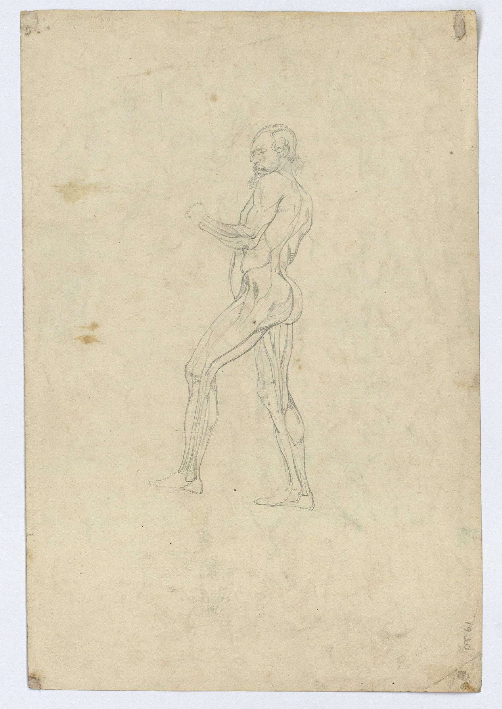 image for: Marià Fortuny - Amorets i animals al bosc (anvers) / Estudi acadèmic de figura masculina (revers) - Cap a 1860-1863 [1]