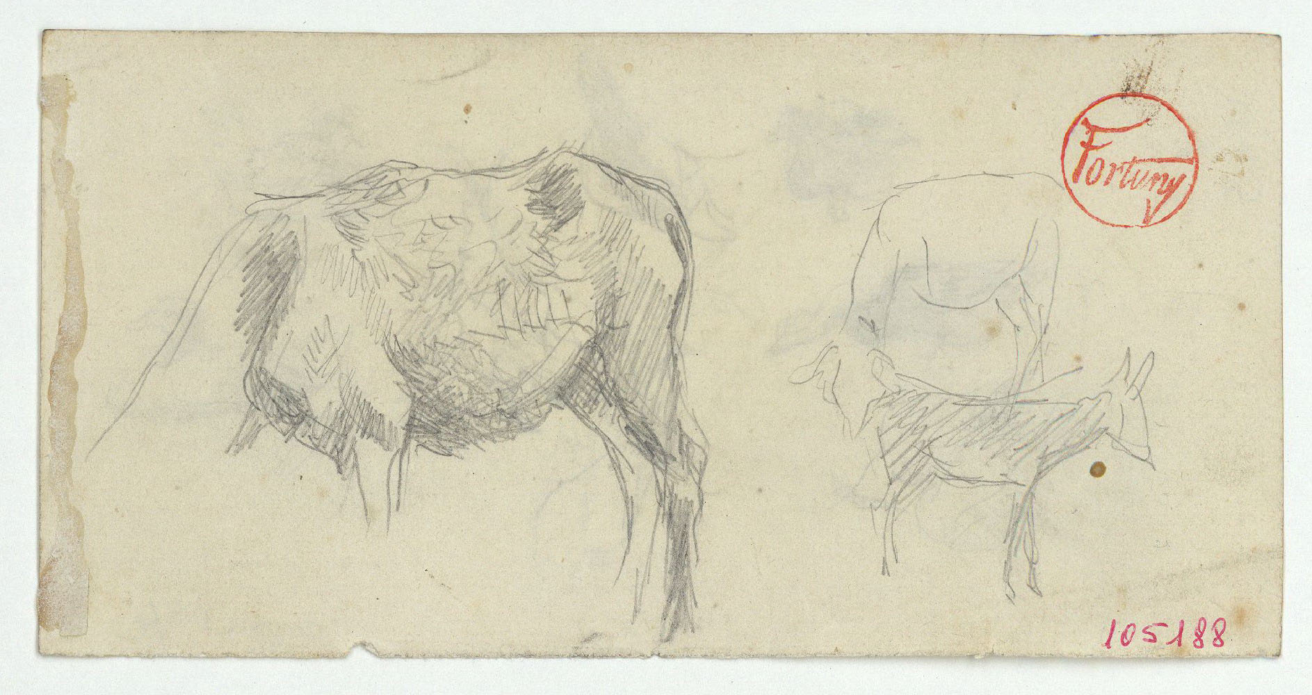 image for: Marià Fortuny - Rucs (anvers) / Ànecs i gallines (revers) - Cap a 1870-1872