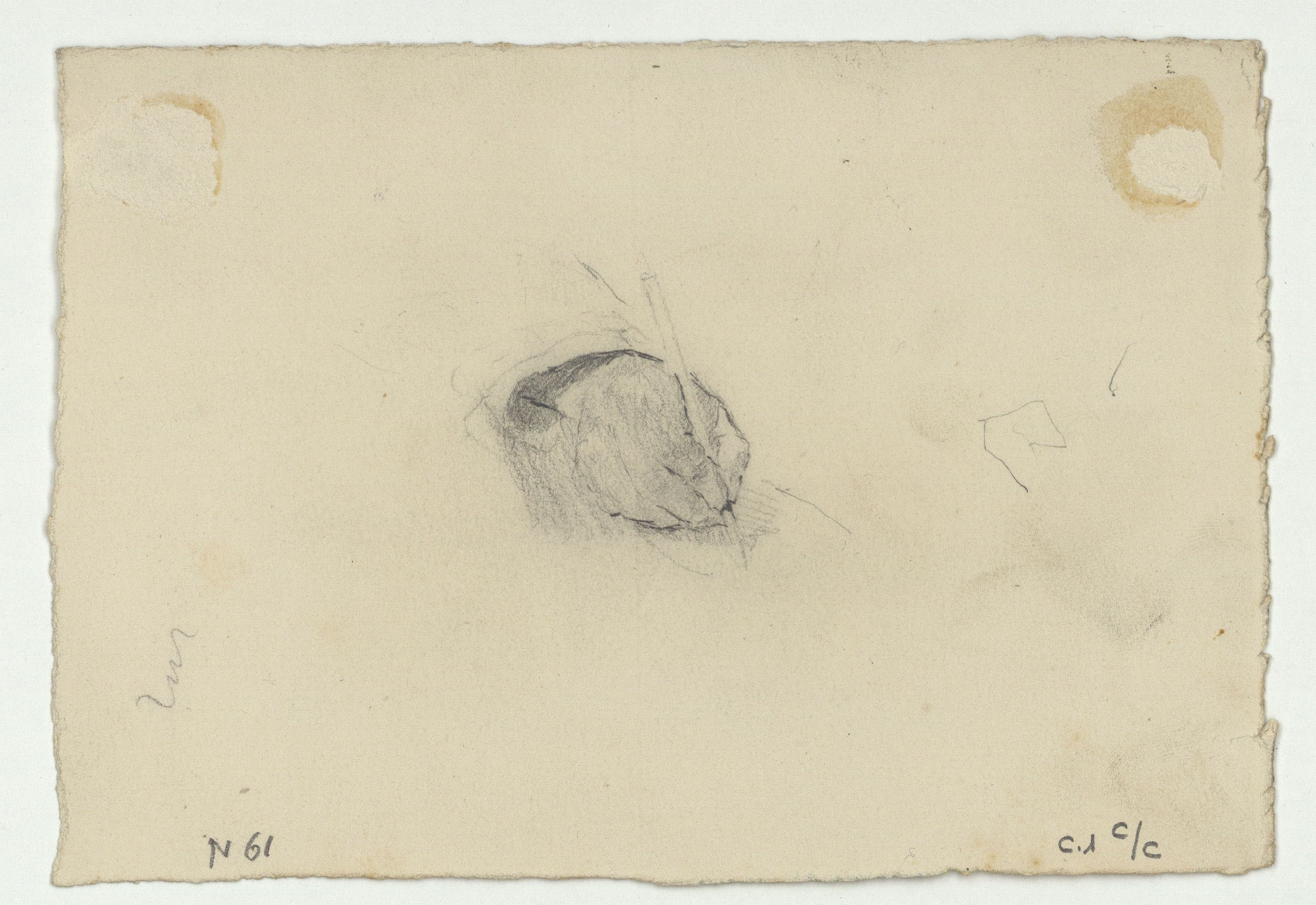 image for: Marià Fortuny - Estudi per al quadre «La matança dels Abenserraigs» (anvers) / Mà amb ploma (revers) - Cap a 1870 [1]