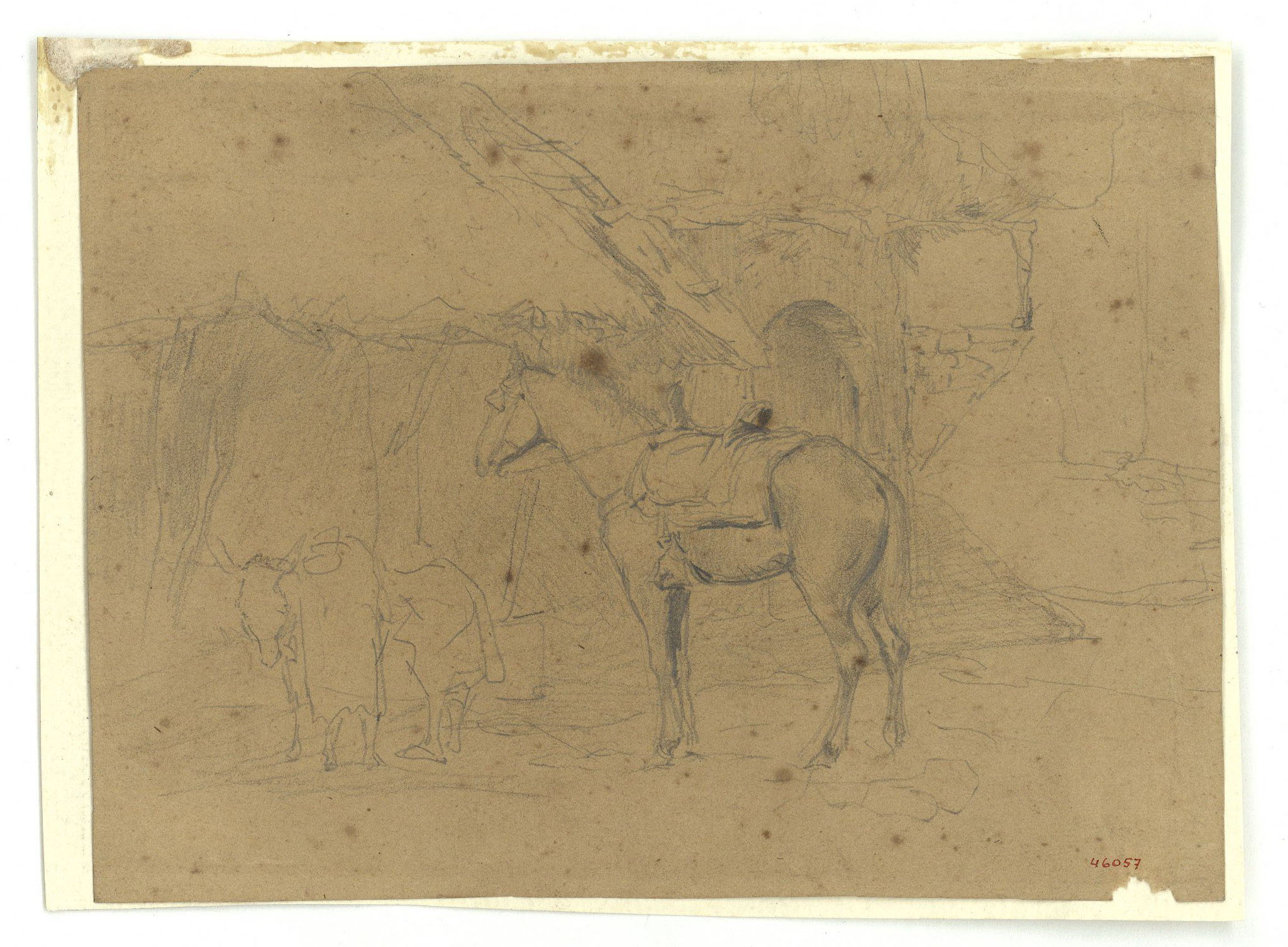 image for: Marià Fortuny - Estudi per al gravat «Cavall marroquí» - Cap a 1860-1862