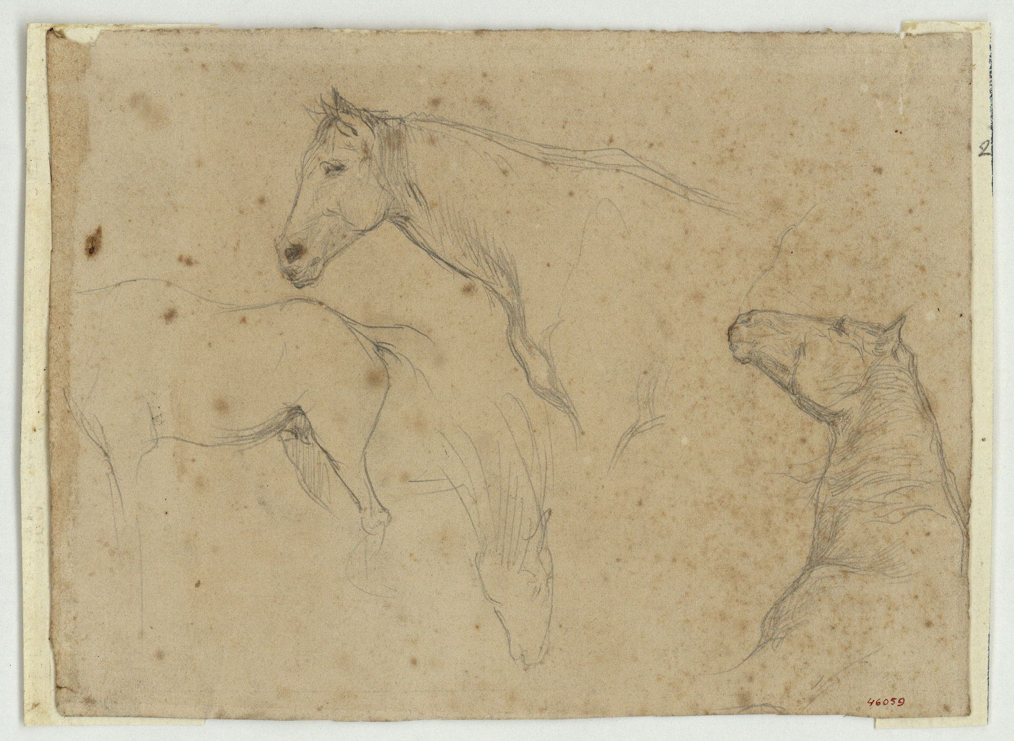 image for: Marià Fortuny - Estudi de cavalls (anvers) / Nen i altres figures (revers) - Cap a 1860-1862