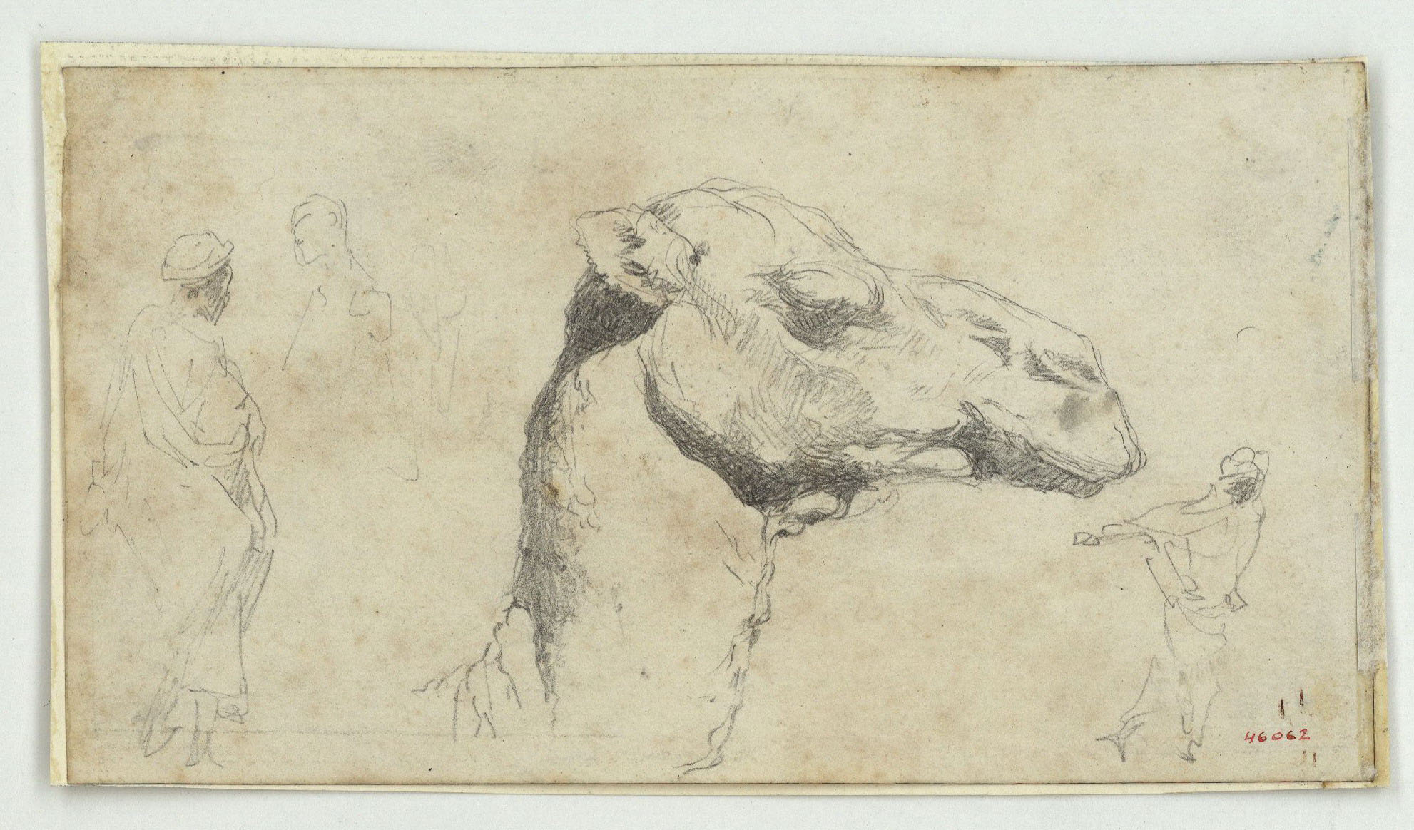 image for: Marià Fortuny - Cap de camell i esbós de marroquins - Cap a 1860-1862