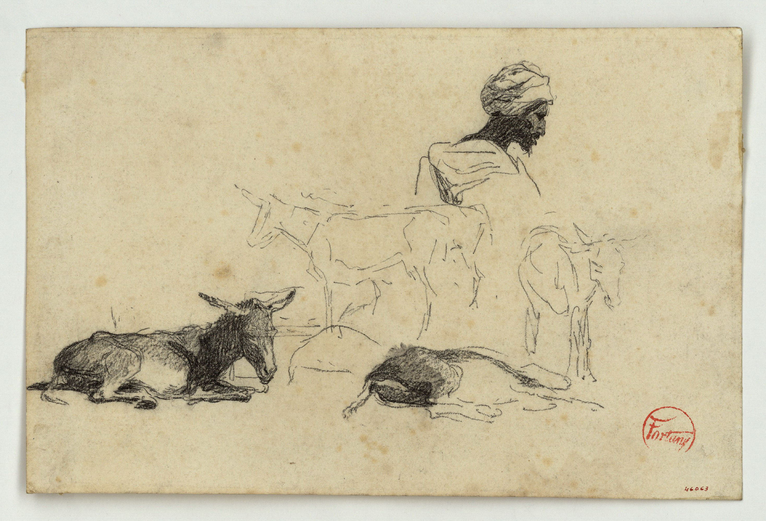 image for: Marià Fortuny - Cap de marroquí i rucs - Cap a 1860-1862