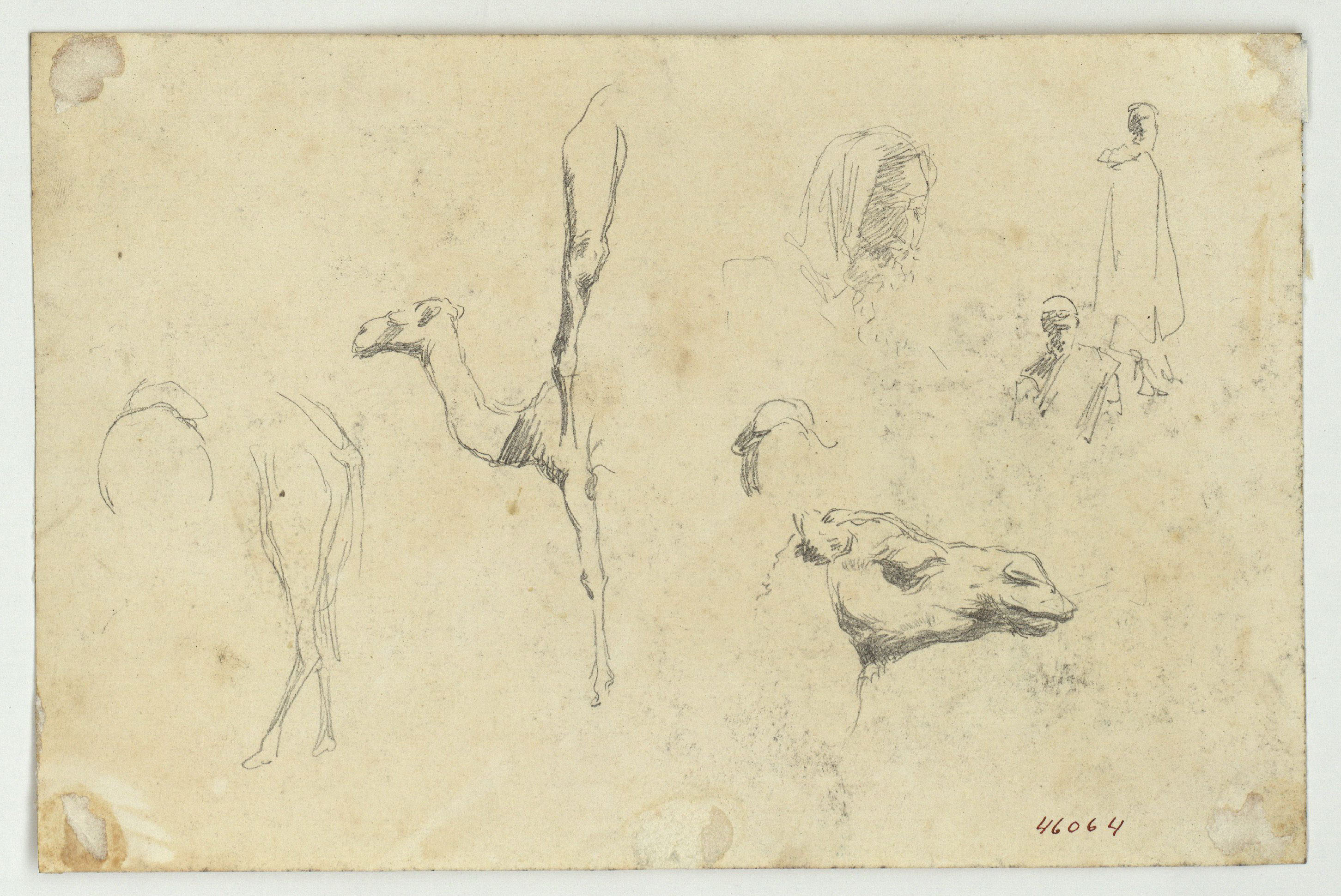 image for: Marià Fortuny - Estudi de camells i figures (anvers) / Camells (revers) - Cap a 1860-1862