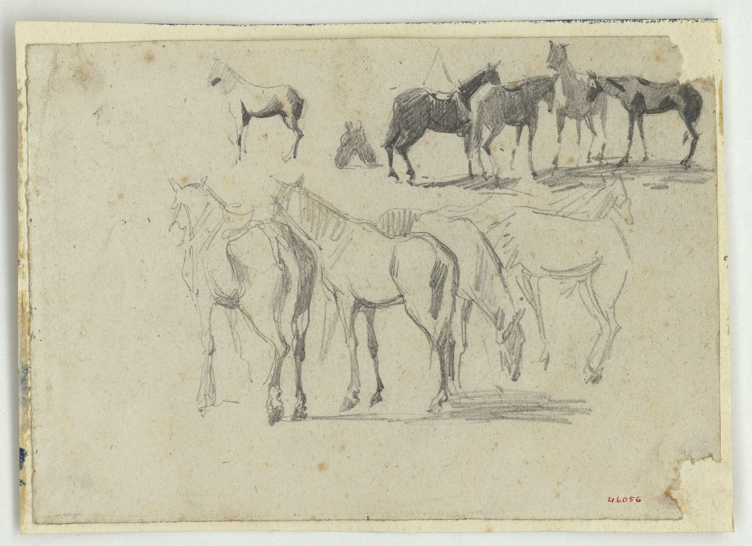 image for: Marià Fortuny - Cavalls - Cap a 1860-1862