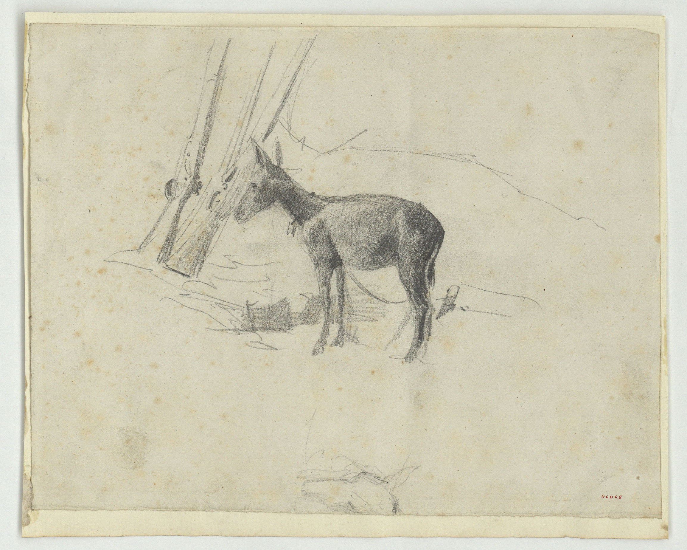 image for: Marià Fortuny - Ruc - Cap a 1860-1862