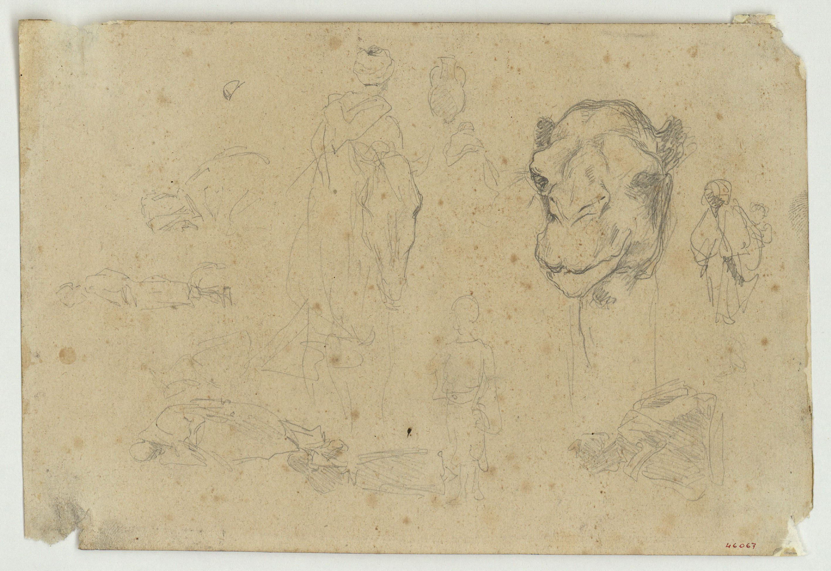 image for: Marià Fortuny - Esbós de marroquins i cap de camell - Cap a 1860-1862