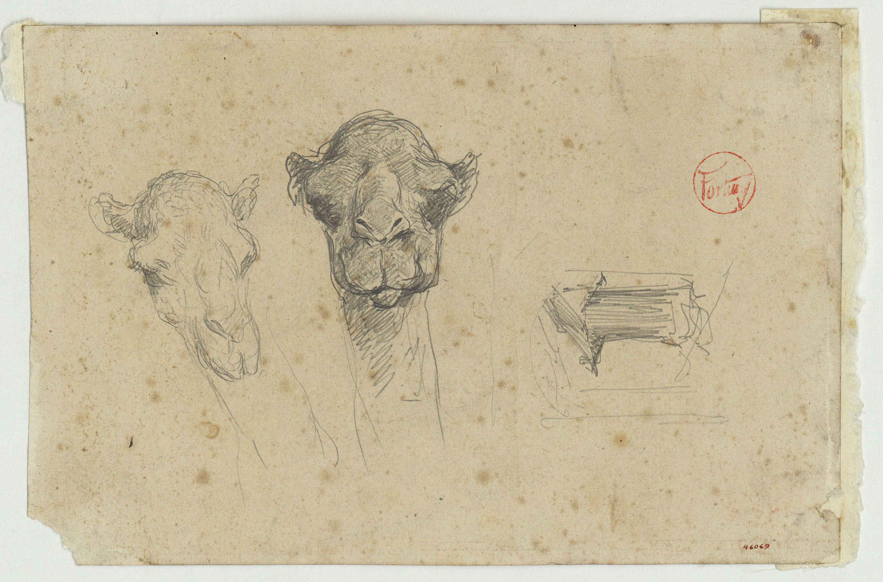 image for: Marià Fortuny - Caps de camell - Cap a 1860-1862