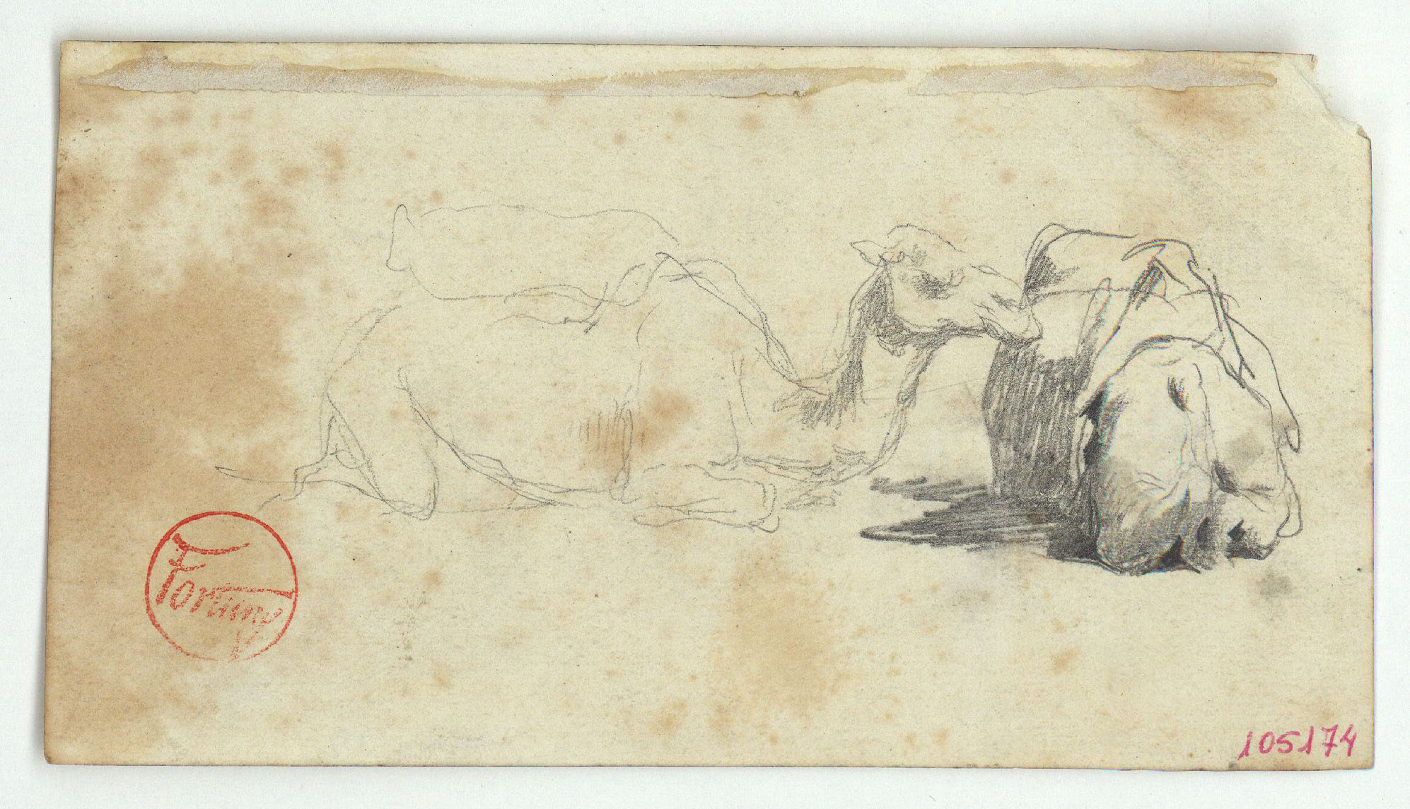 image for: Marià Fortuny - Estudi per a l'aquarel·la «El cameller» (anvers) / Esbós de toro i cavall (revers) - Cap a 1862-1865