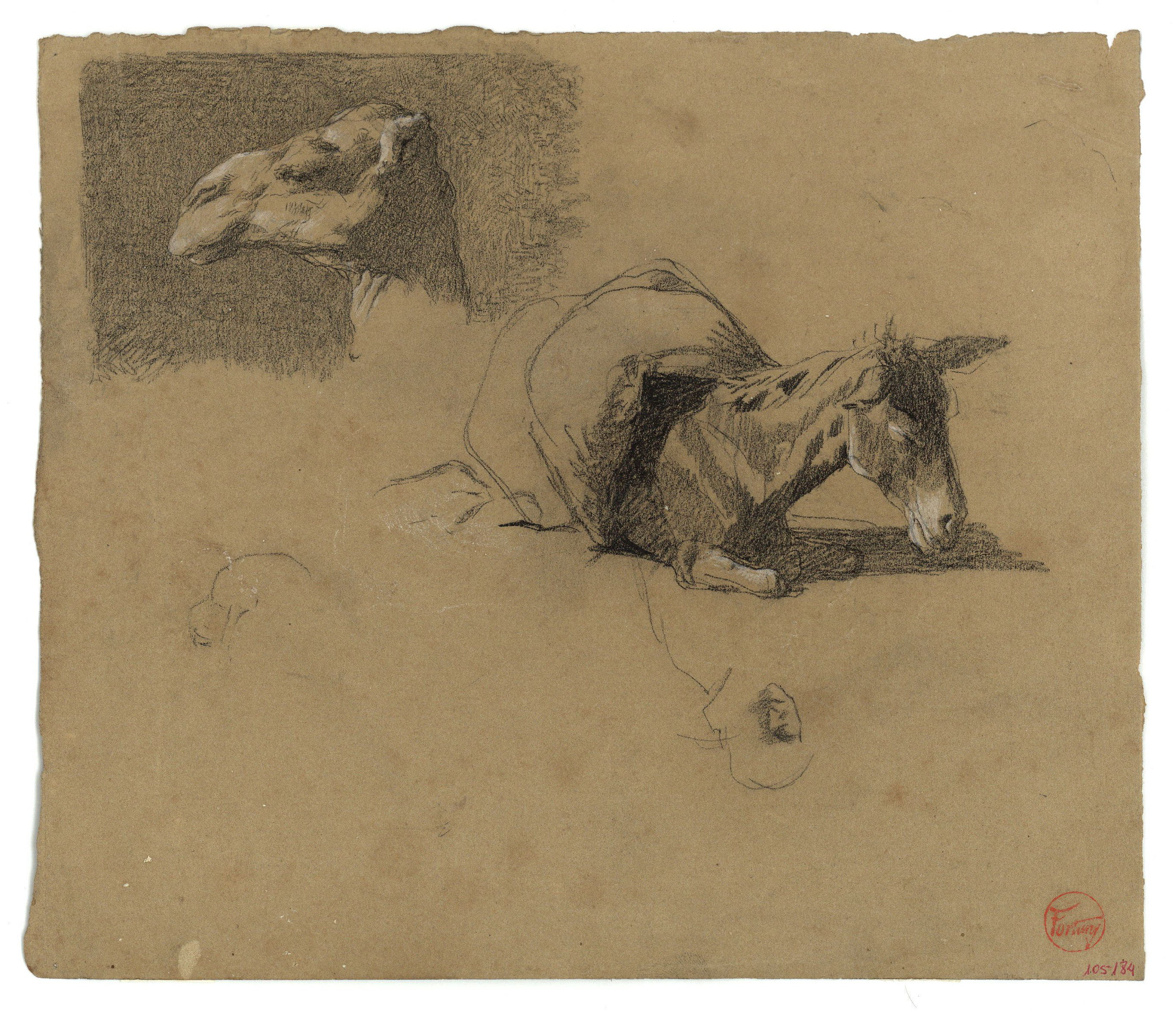 image for: Marià Fortuny - Cap de camell i ruc (anvers) / Estudi de camell (revers) - Cap a 1862
