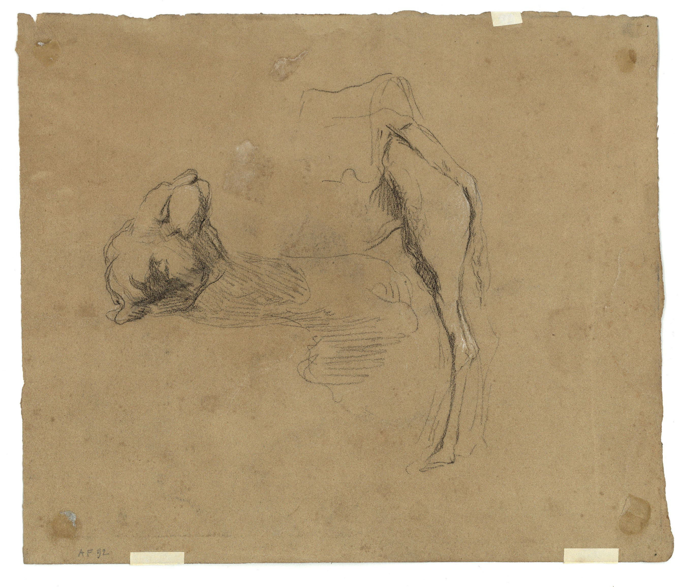 image for: Marià Fortuny - Cap de camell i ruc (anvers) / Estudi de camell (revers) - Cap a 1862 [1]