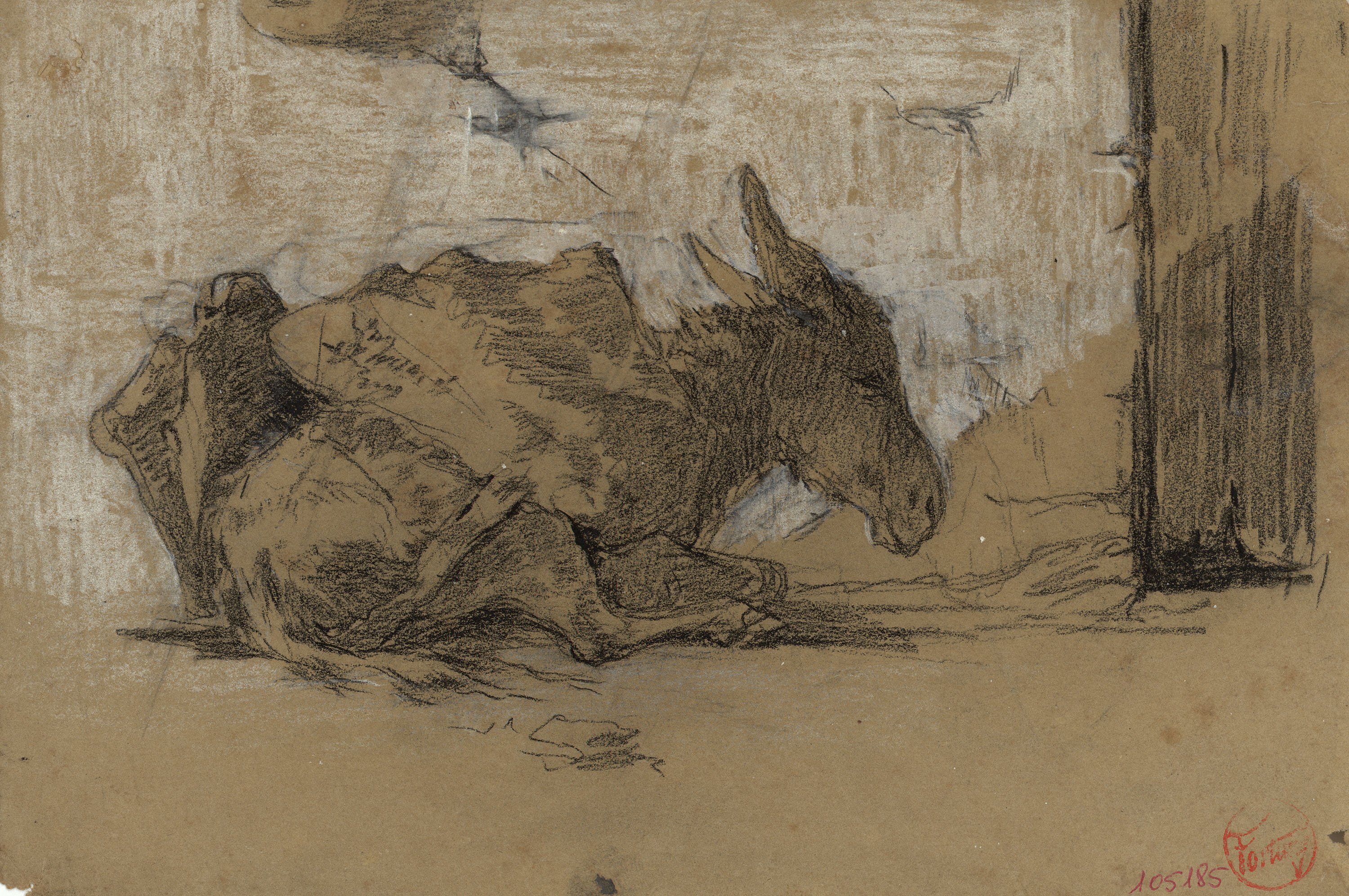 image for: Marià Fortuny - Ruc ajagut - Cap a 1867-1872