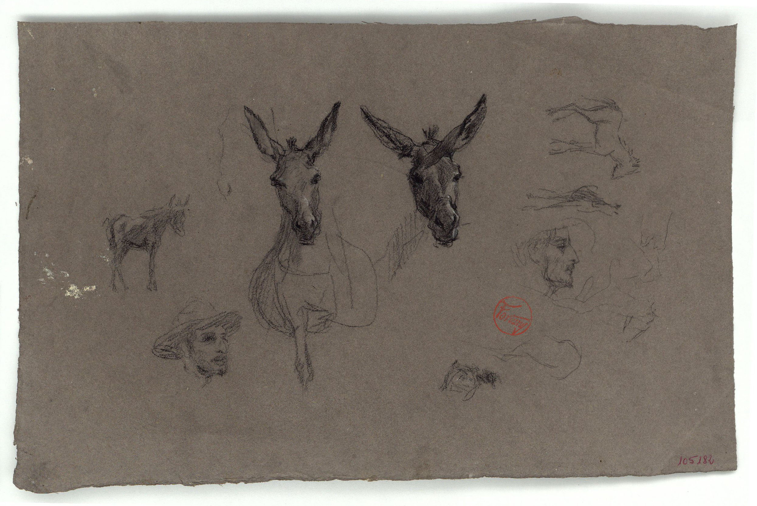 image for: Marià Fortuny - Caps d'ase i caps d'home - Cap a 1867-1870