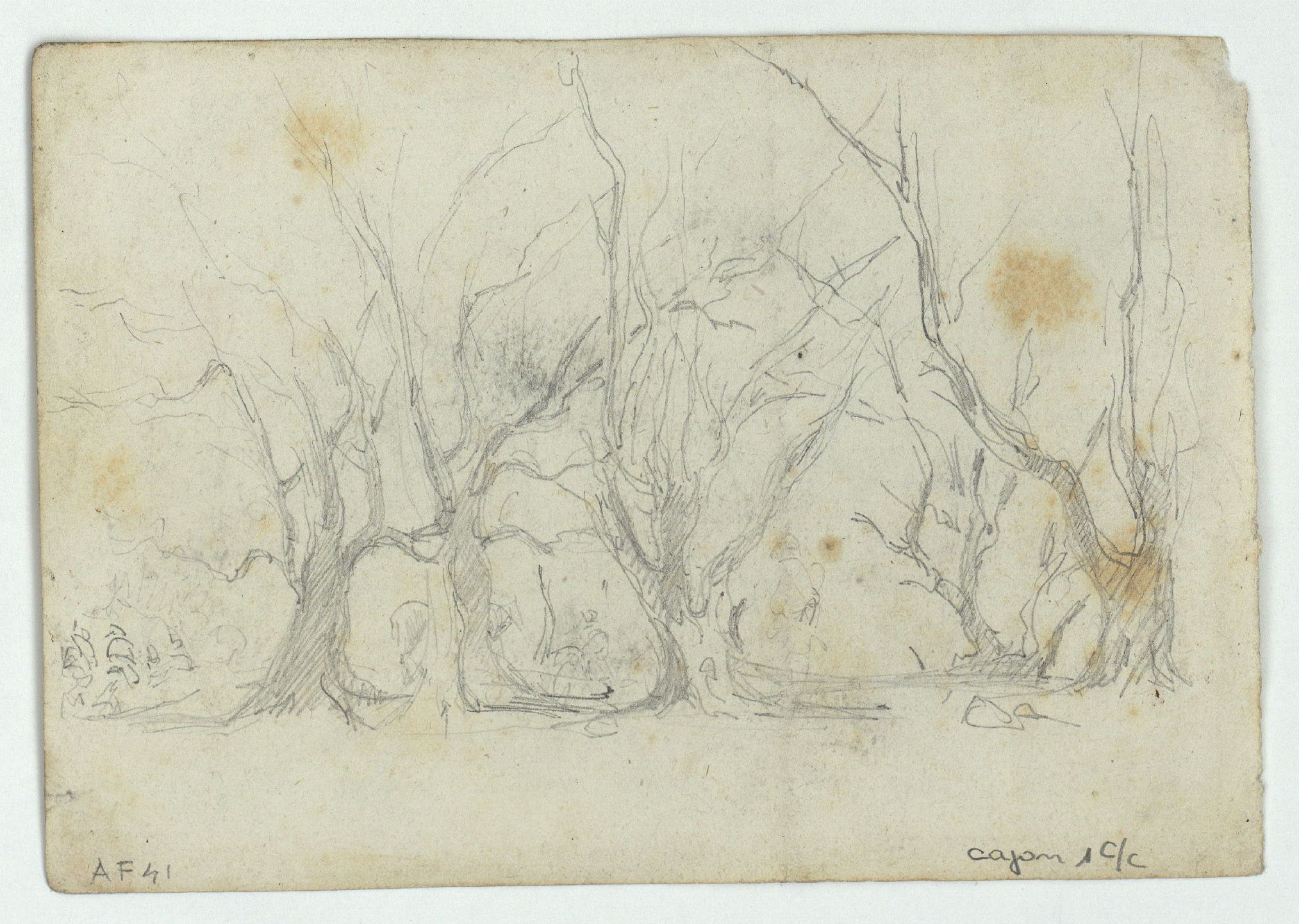 image for: Marià Fortuny - Cavalls i telescopi (anvers) / Arbres (revers) - Cap a 1860 [1]