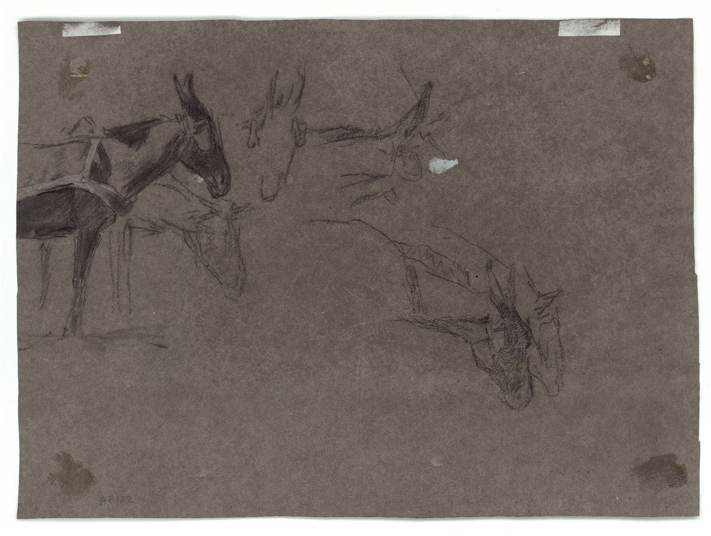 image for: Marià Fortuny - Rucs junyits a un carro (anvers) / Caps de ruc (revers) - Cap a 1867-1870 [1]