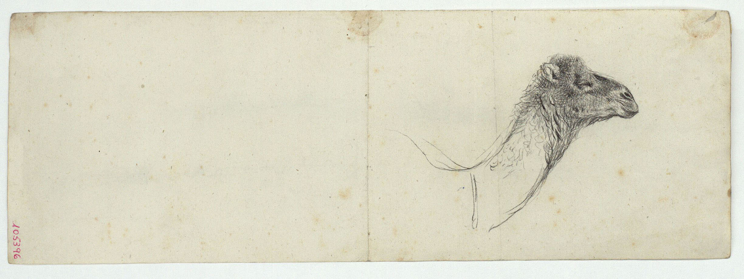 image for: Marià Fortuny - Paisatge marroquí (anvers) / Cap de camell (revers) - Cap a 1860-1862 [1]